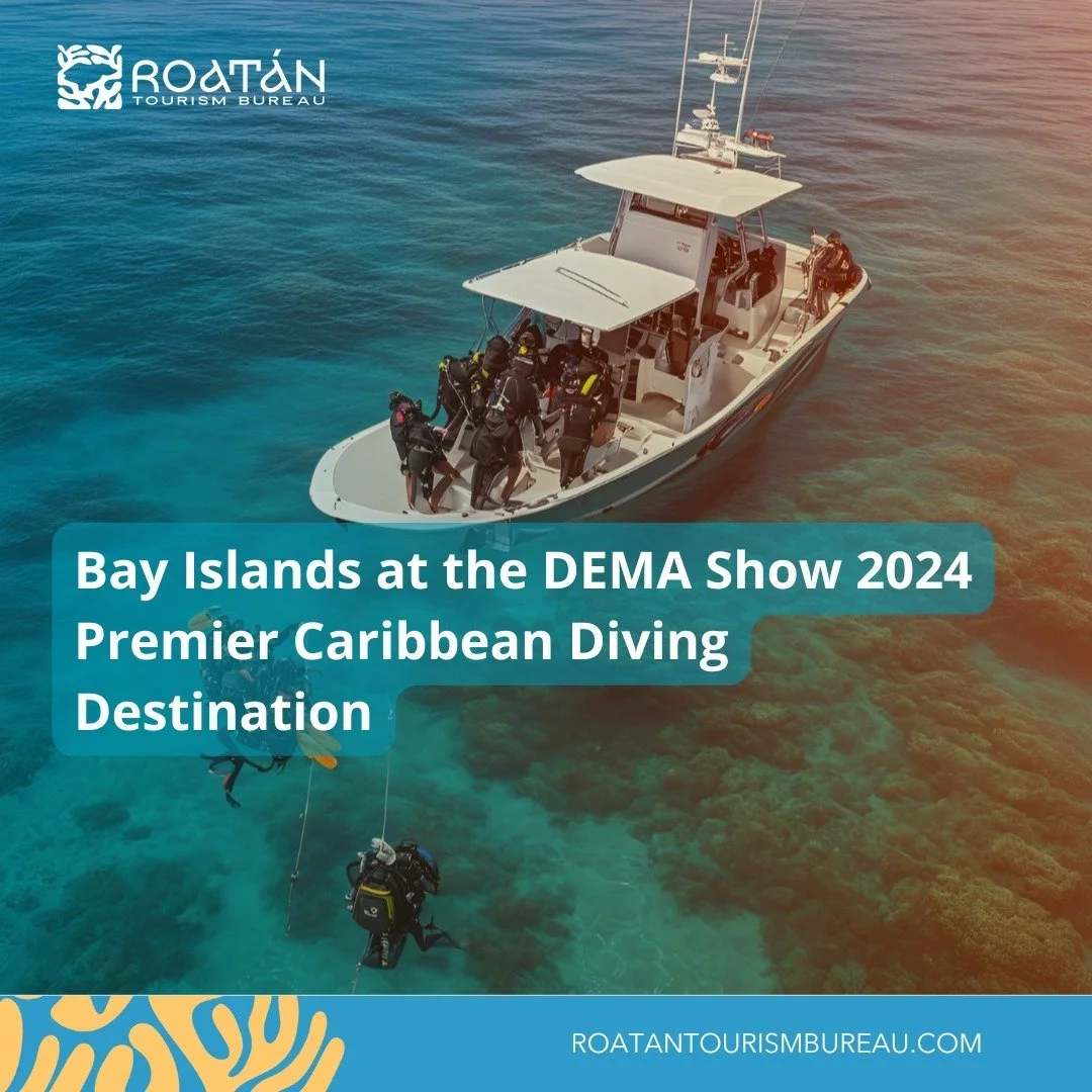 🌊🌴 Bay Islands at the DEMA Show 2024! 🐠✨

Join us in Las Vegas from November 19&ndash;22 as the Bay Islands take center stage at the DEMA Show 2024, the ultimate event for diving, water sports, and adventure tourism! 🌍🤿

Discover the best of Roa