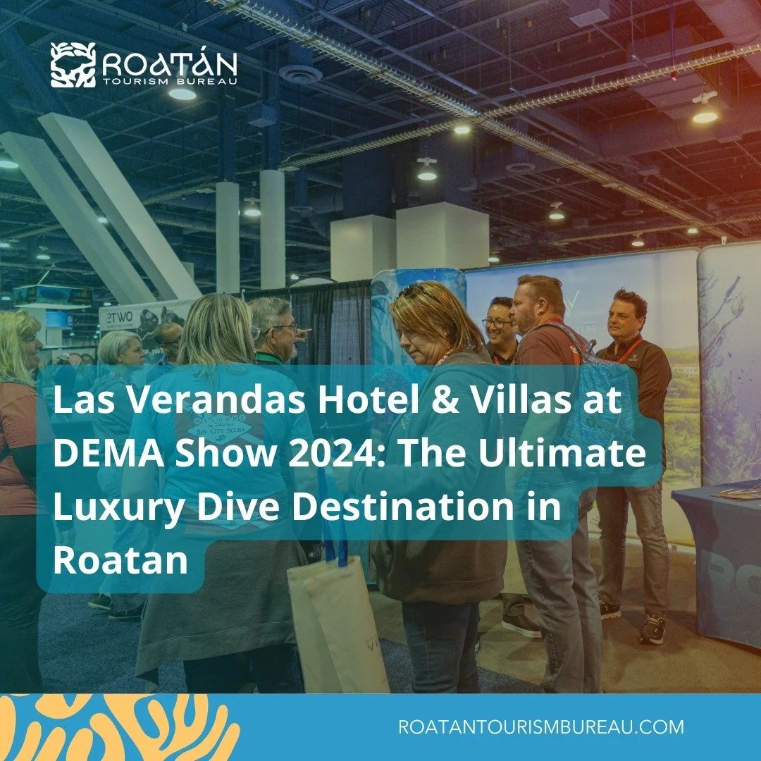 🌊🐠 Looking for the ultimate diving getaway? 

Las Verandas Hotel &amp; Villas is the perfect choice! 🏝️✨ Recently showcased at the prestigious DEMA Show 2024 in Las Vegas, Las Verandas offers an unmatched luxury experience for diving enthusiasts. 