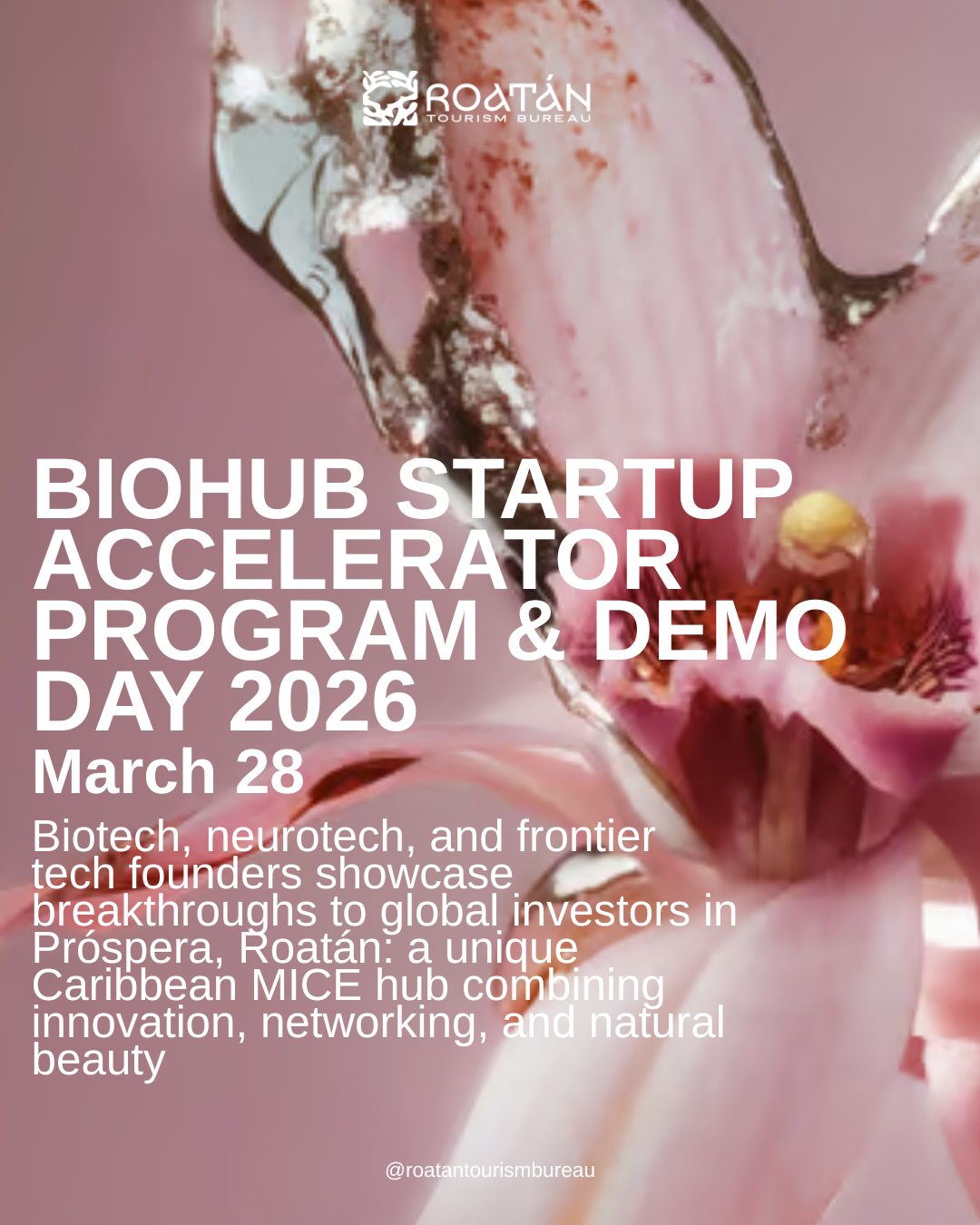 BioHub Startup Accelerator Program &amp; Demo Day 2026: Fostering Innovation in Roatán