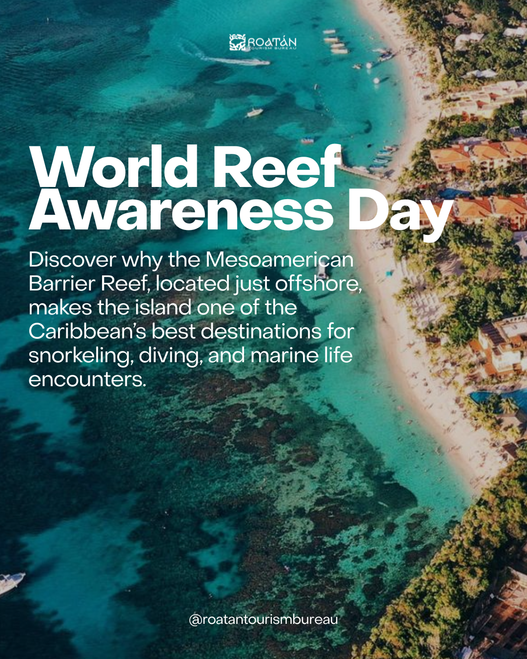 World Reef Awareness Day: Celebrating Roatán’s Greatest Natural Treasure