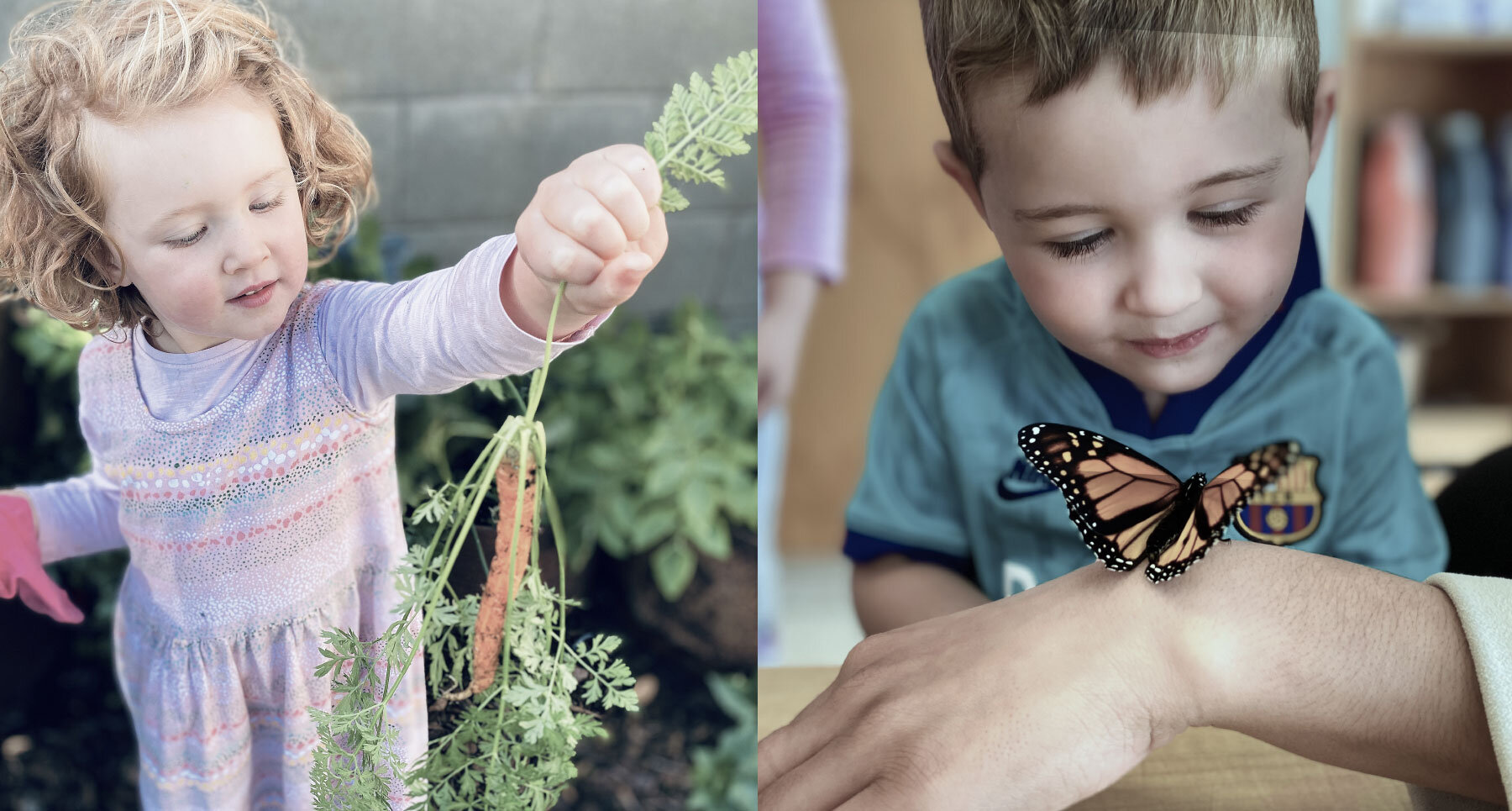 Nurture-Early-Learning-Auckland-Daycare-Preschool-Avondale-Onehunga-Silverdale-Kids1.jpg