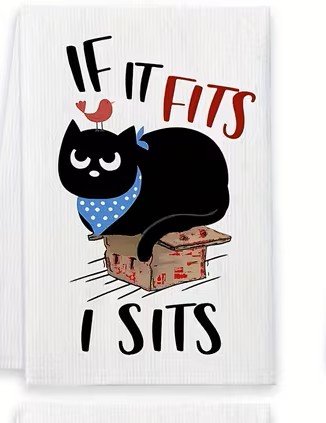 If I fits I sit Black cat .jpg