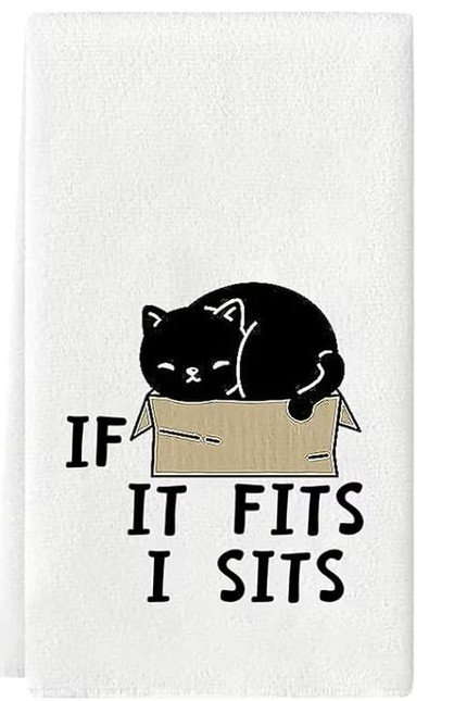 fits i sits black cat box.jpg