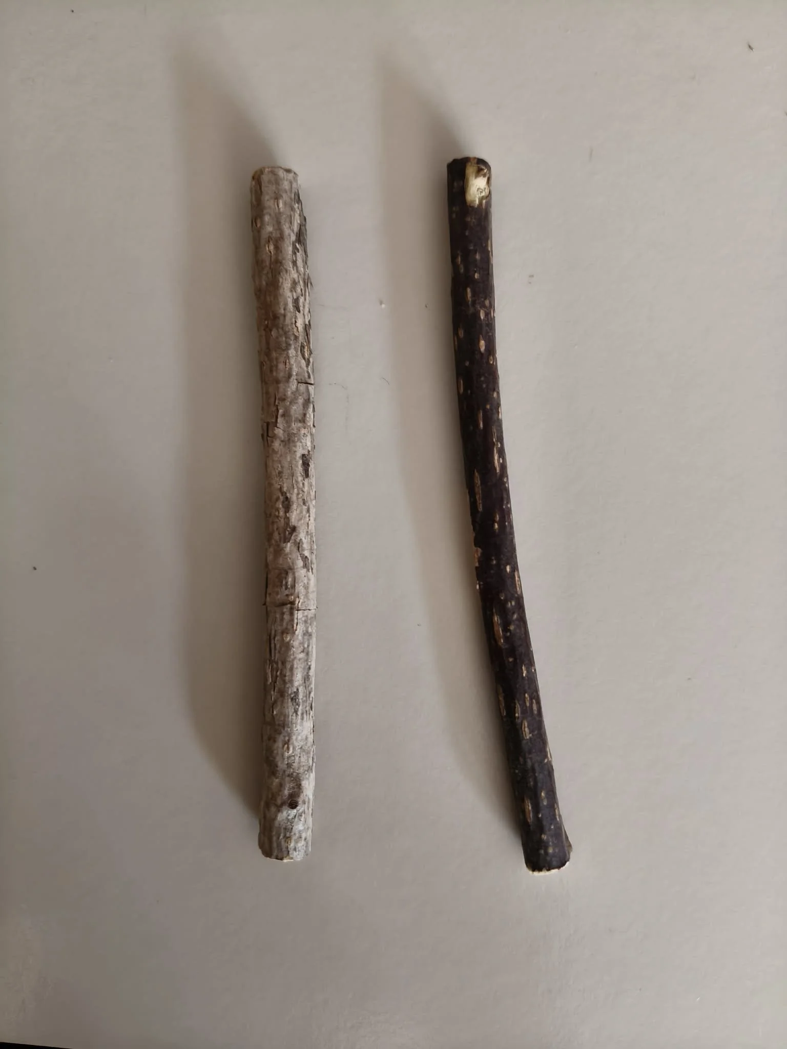 12cm sticks.jpg
