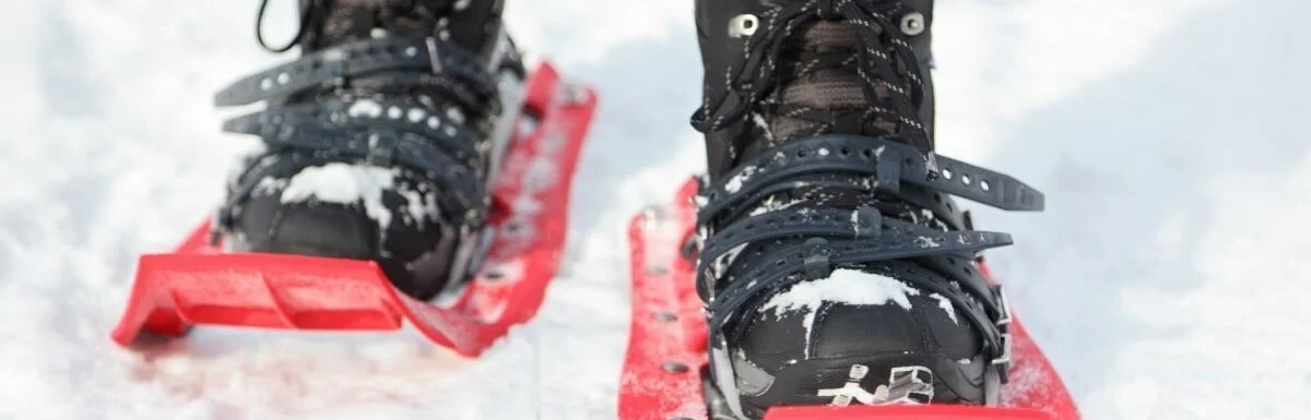 MSR Evo Ascent: The Best Snowshoe for Adventurous Hikers