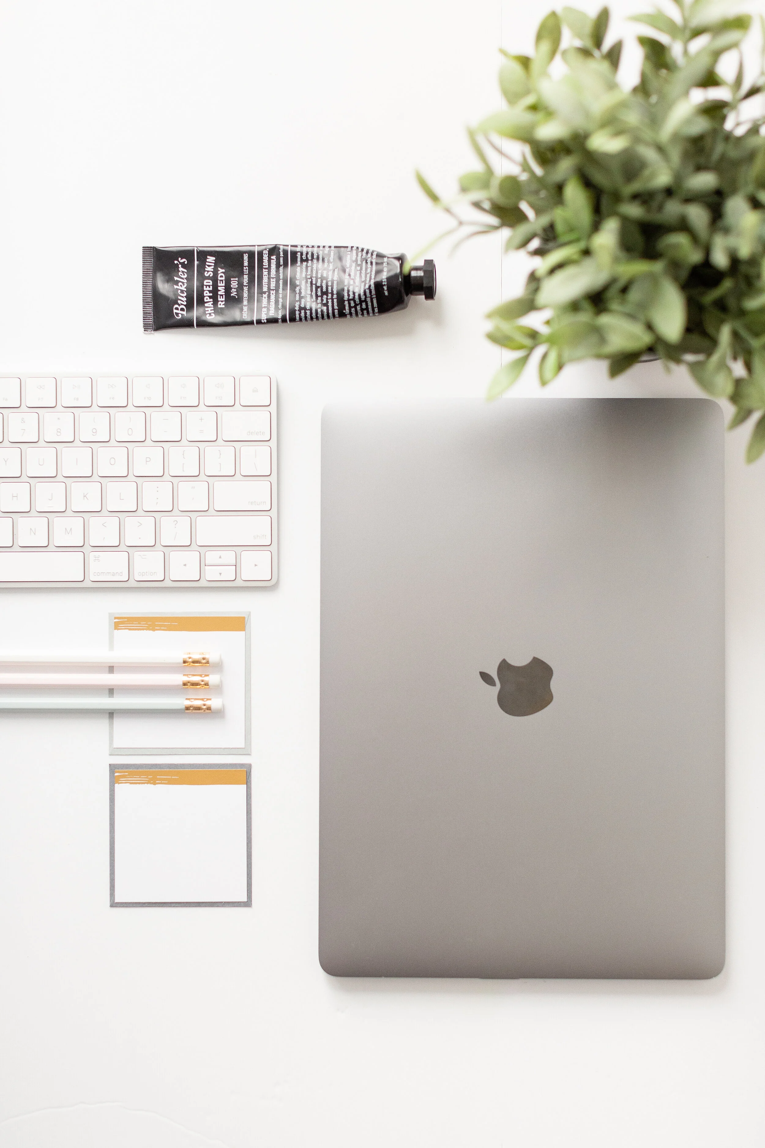 5 Ways To Optimize Your Instagram Bio