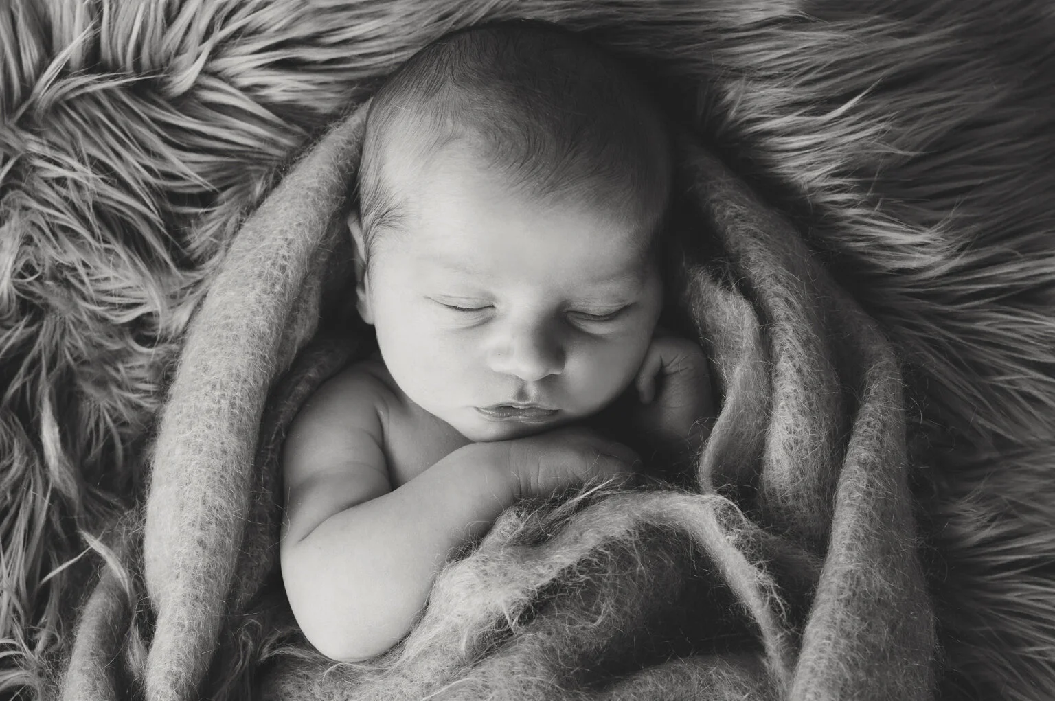 ruby-159boad (1).jpg