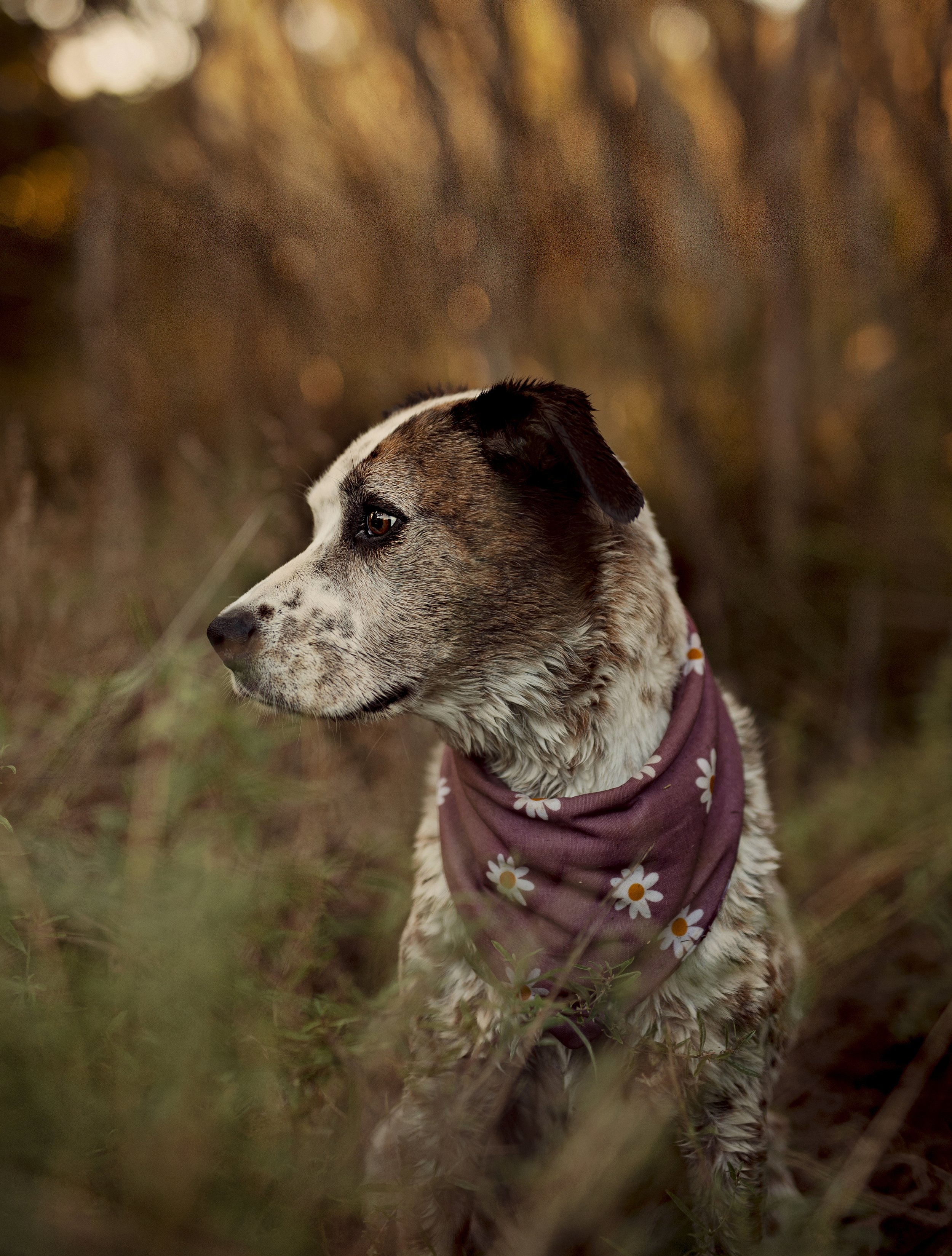 _DSC7043EDD.jpg