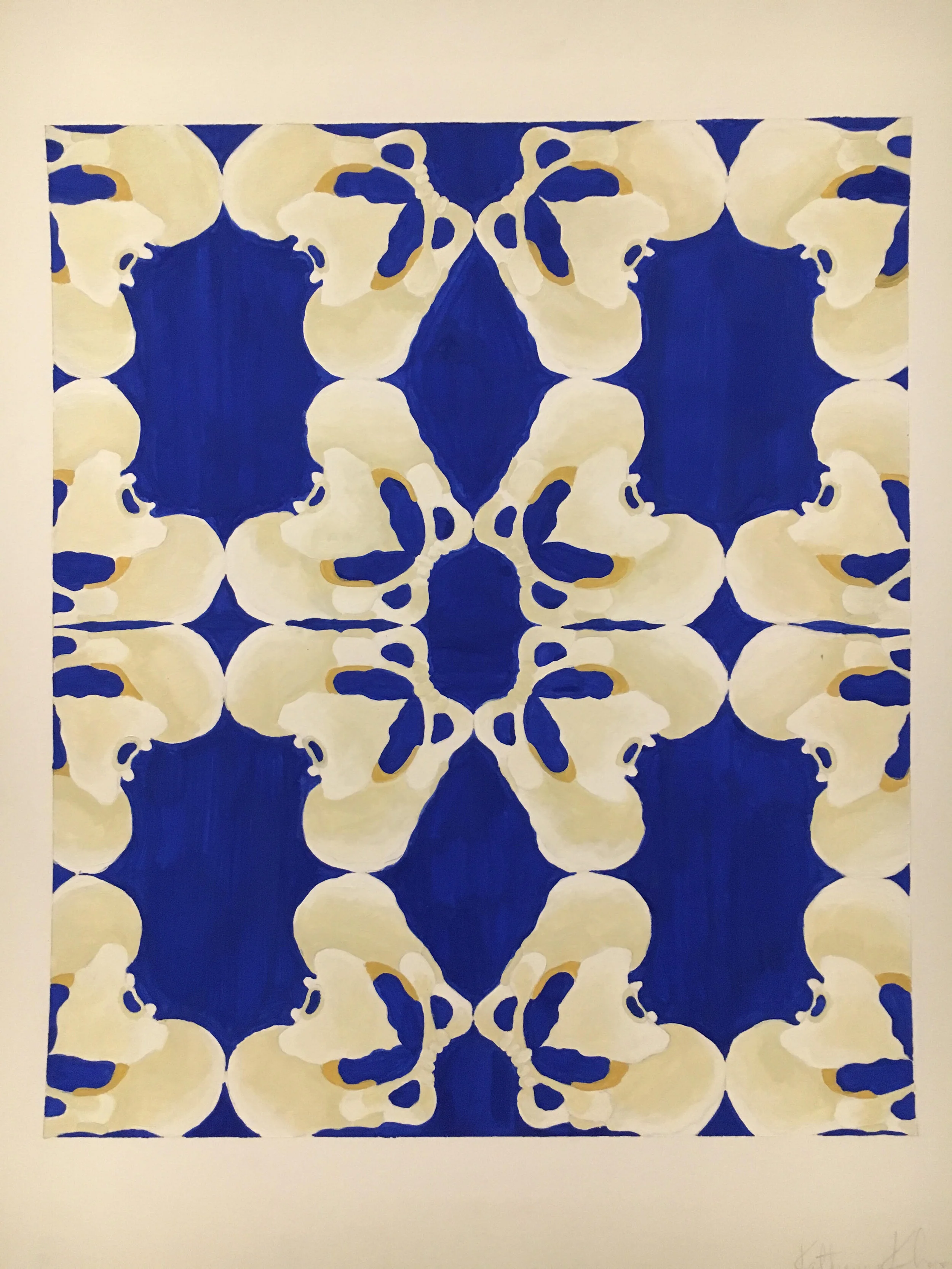 pelvis print.jpg