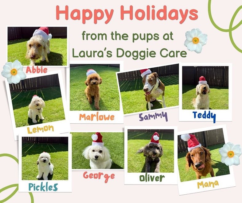 Happy Holidays from Laura’s Doggie Care!
We are beyond grateful for all our daycare and boarding pups. This year, the pups picked out a mystery gift, took home a special keepsake frame, and enjoyed homemade treatsπΎβ€οΈ
#holidaycheer #gratitu