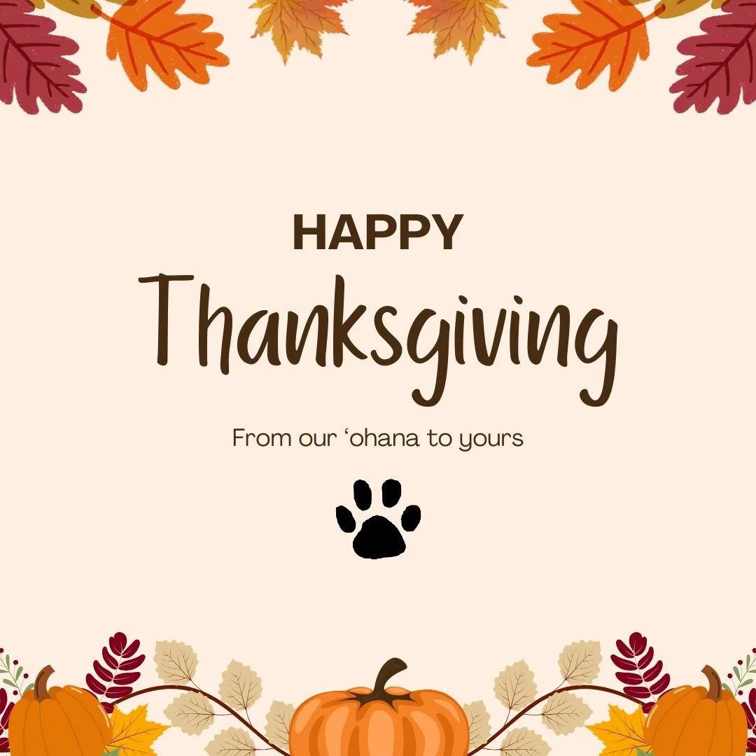 From our &lsquo;ohana to yours, Happy Thanksgiving! The daycare pups had fun making paw-print turkeys to take home this year. Swipe to see their creations!

#laurasdoggiecare #mauipetsitter #mauidogs #happythanksgiving #doggiedaycare