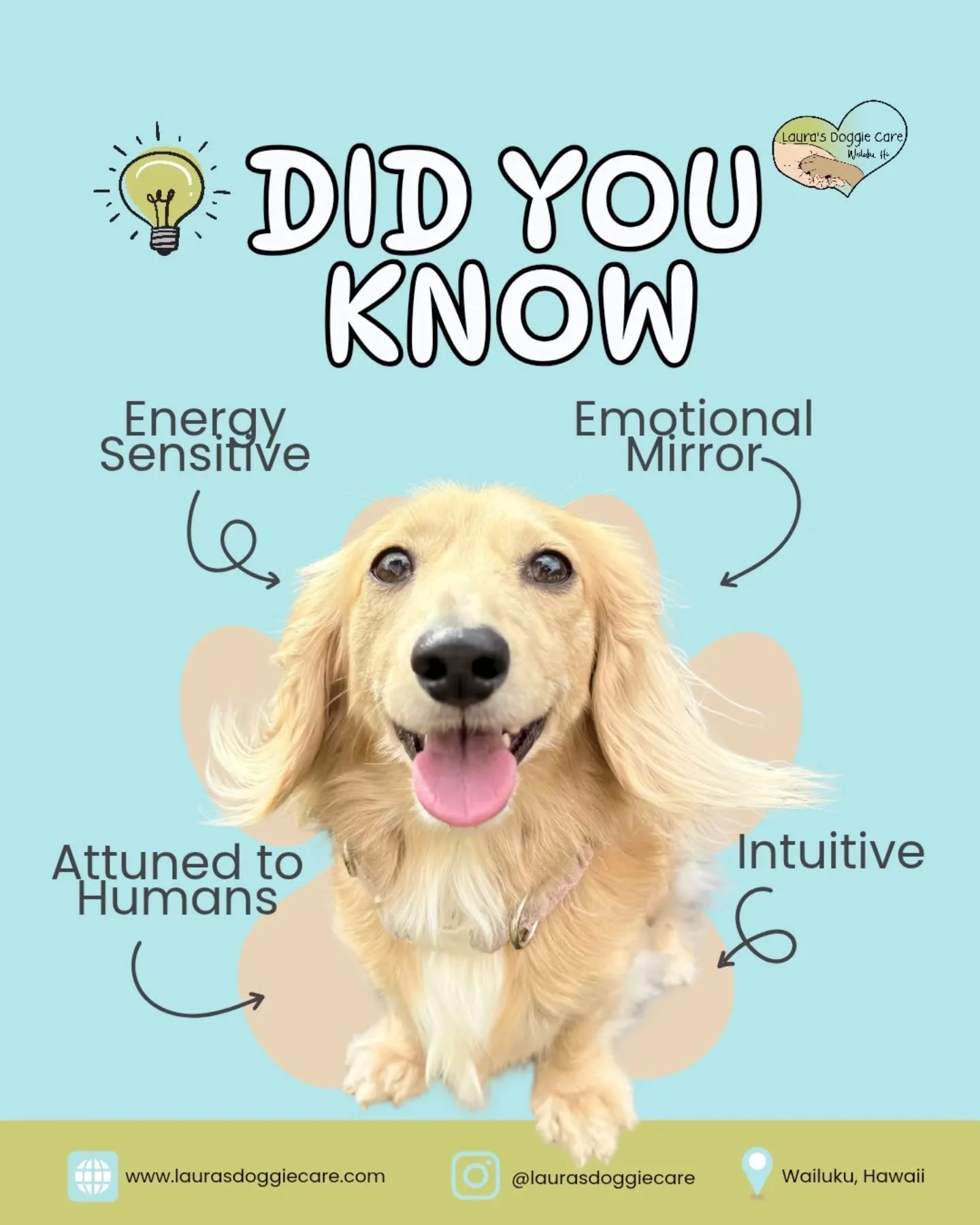 Fun Fact: Did you know dogs are super intuitive? They often act like little emotional mirrors, picking up on your stress, mood, and energy throughout the day. 🐶 The next time your pup seems restless, anxious, or is acting out, take a moment to check