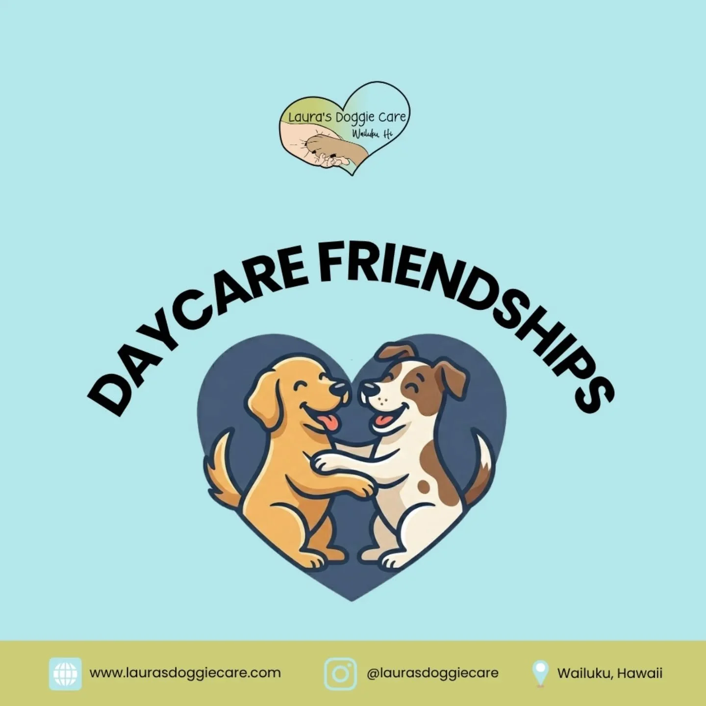 There&rsquo;s nothing better than watching the friendships that form at daycare. Dogs aren&rsquo;t just playing, they&rsquo;re building real social bonds, learning how to communicate, respect boundaries, and enjoy the company of other dogs in a safe,