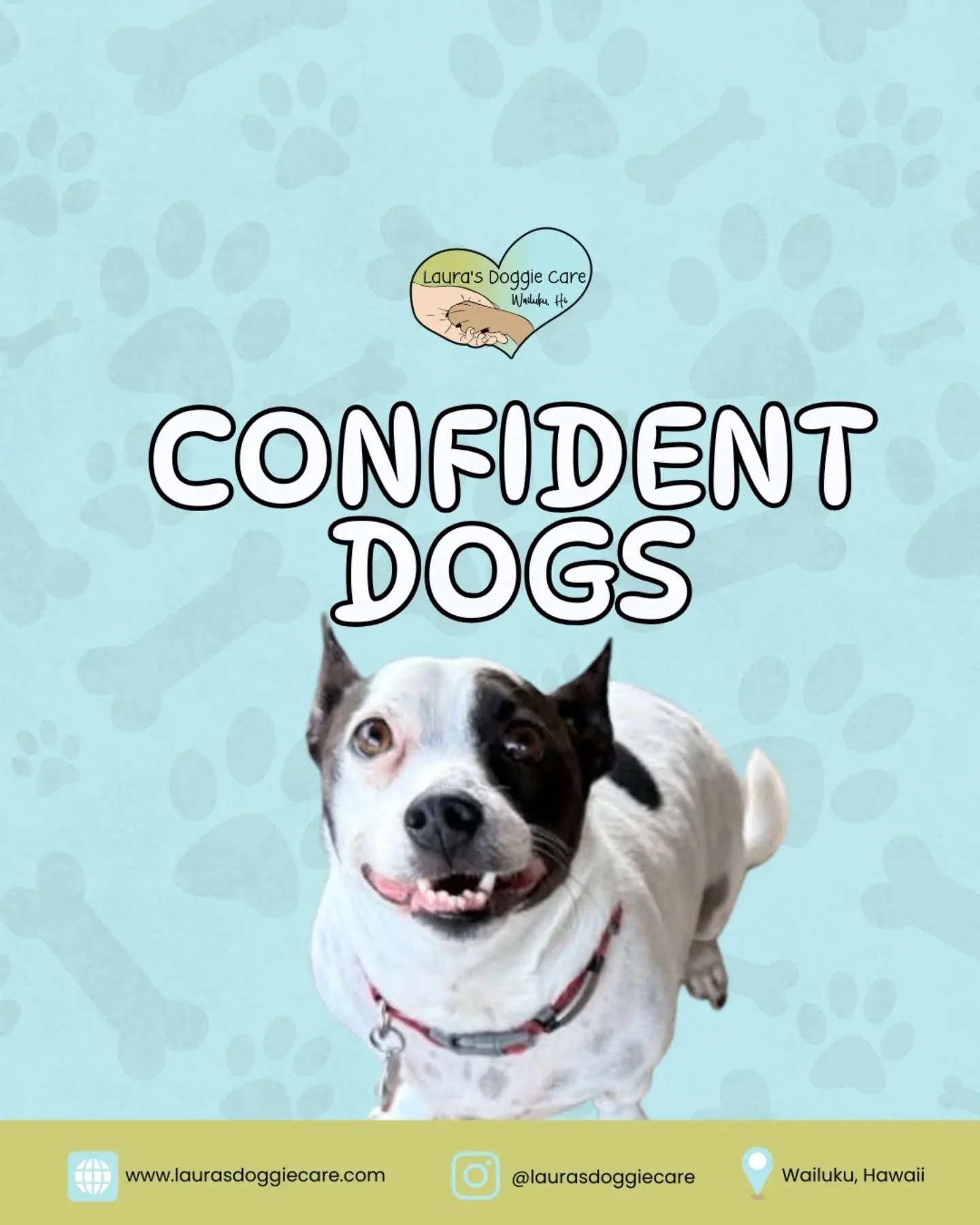 Dogs who consistently attend structured daycare gain more than physical exercise, they build confidence through repetition, guidance, and positive social experiences. With balanced playgroups and clear boundaries, they learn proper communication, imp