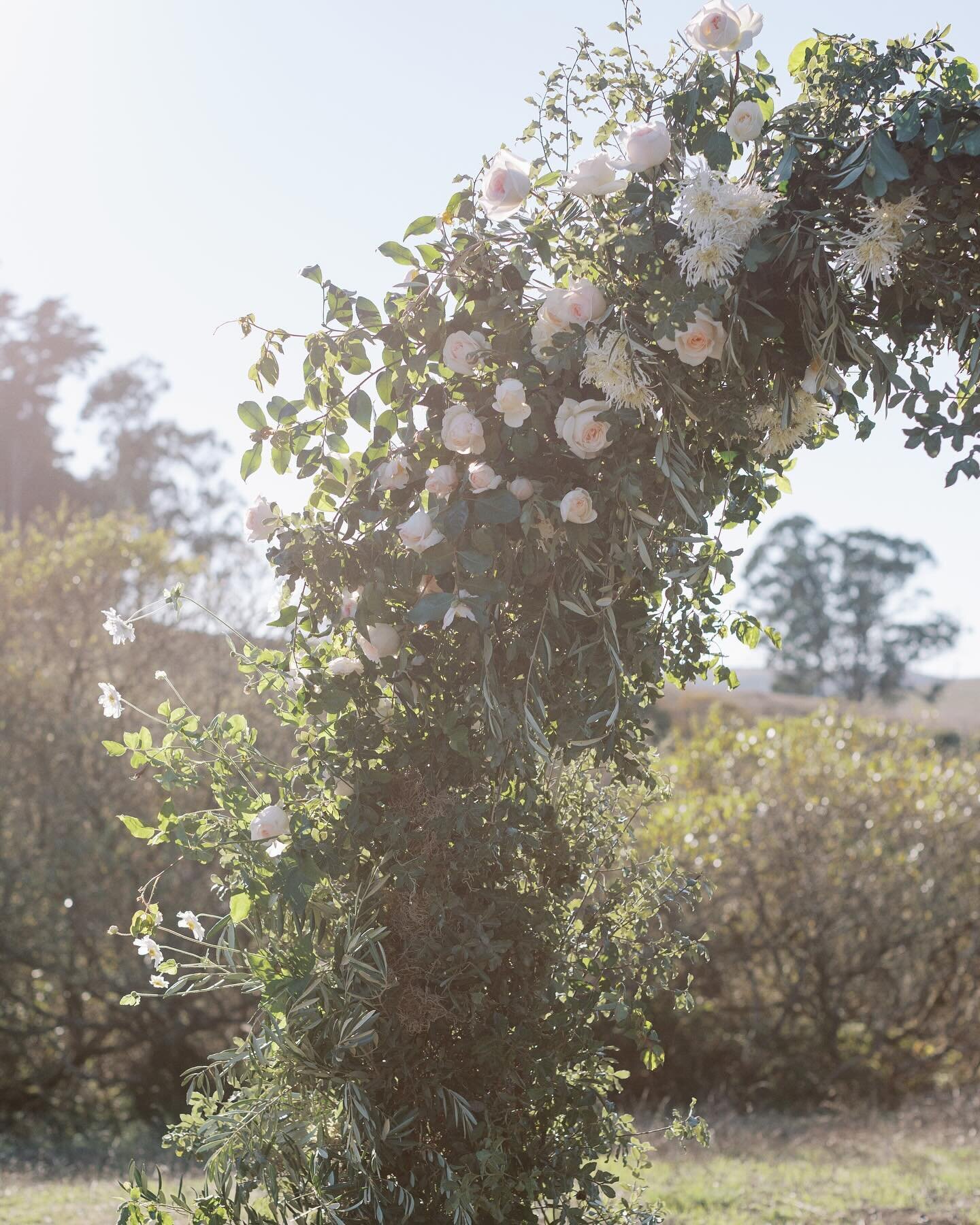 A few of my favorite detail shots from Marta and John&rsquo;s November ceremony. 

Photography @susanyeephoto 
Venue @thehavenattomales 
Planner @cmg_events @maggie_cmgevents 
Florist @jenniflorasonoma 

Freelance Floral Team @andthymefloral @joleebl