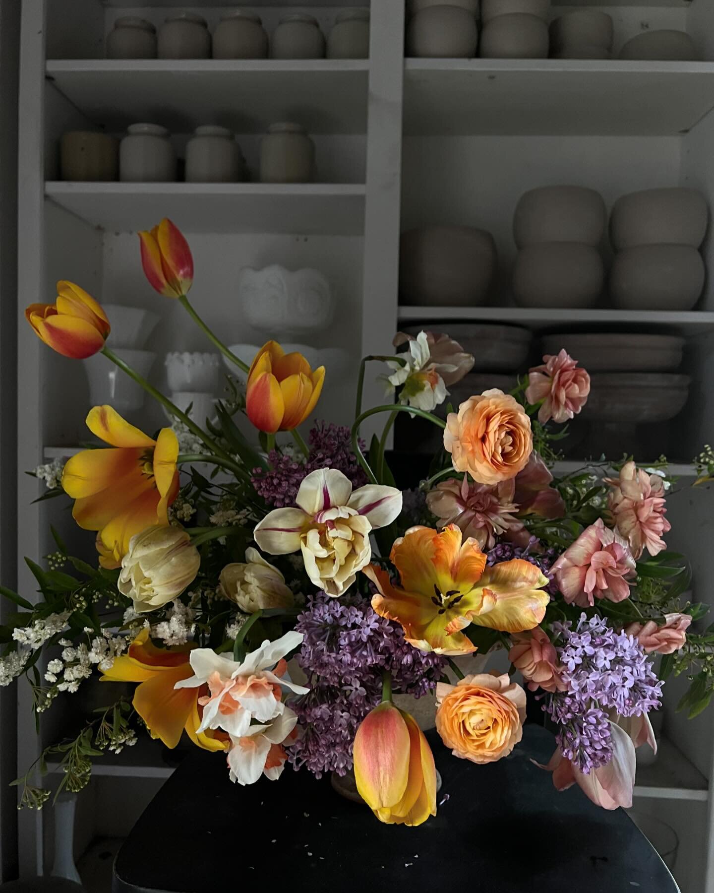 It&rsquo;s an exciting time! My new rose field got mowed today which means this week is planting week. Such a relief to have a new home for my roses after having them dug up since January. 

In other news, I finally found the best light in my studio,