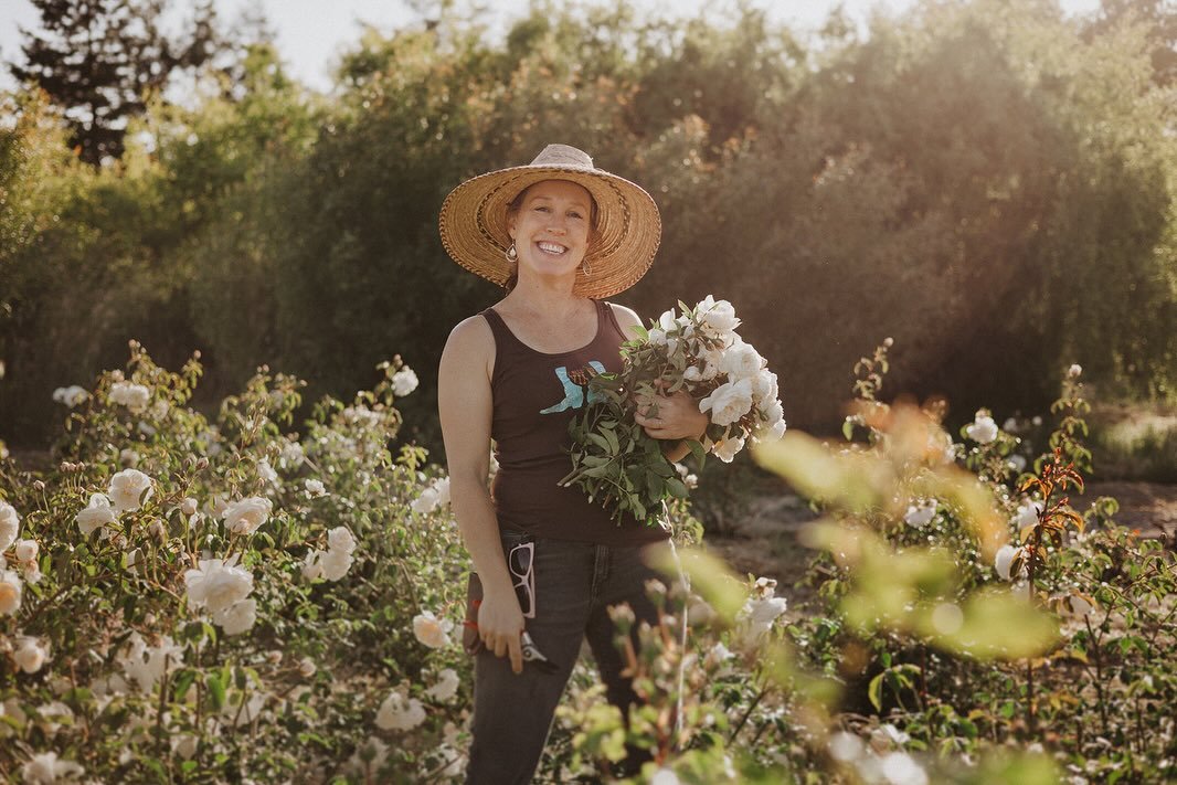 While rose season is about five months away, the planning and prep is underway. It might look much different from these pictures because most of the work is done in front of the computer in my cozy clothes, but I&rsquo;m dreaming of a field in full b