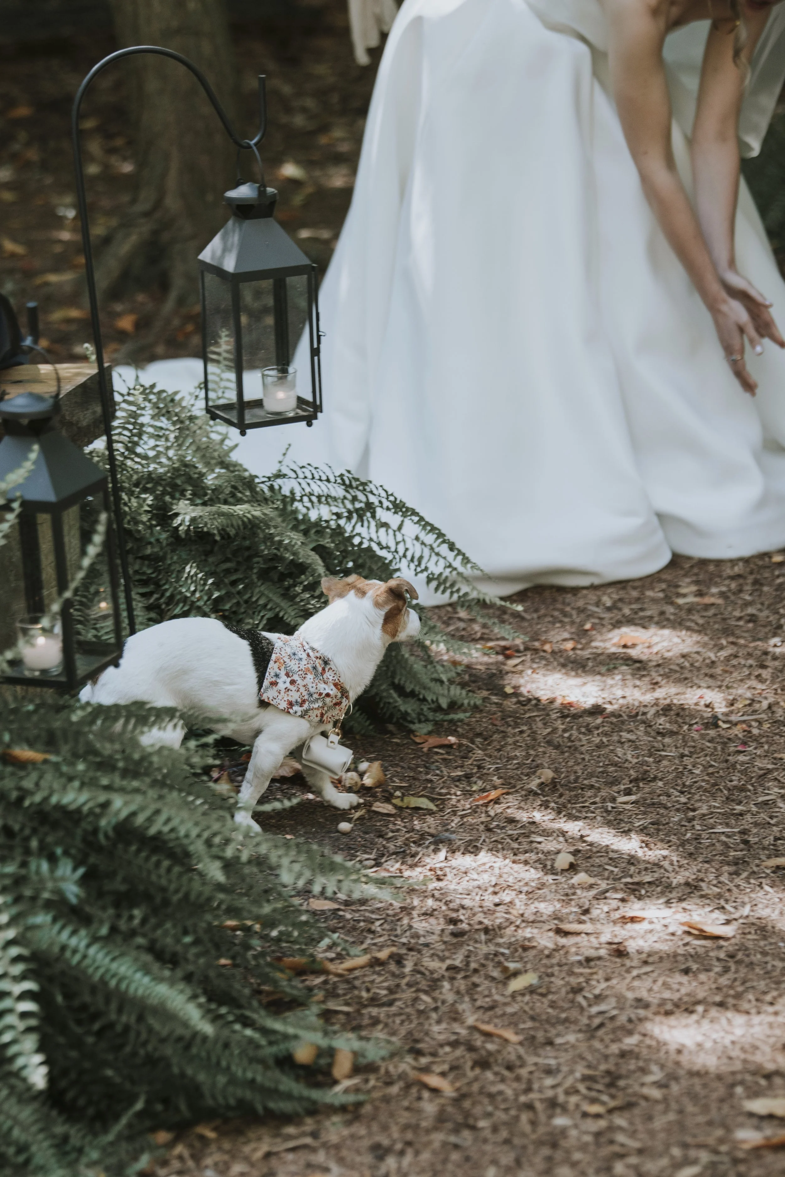 T_L_ Wedding Day-314.jpg