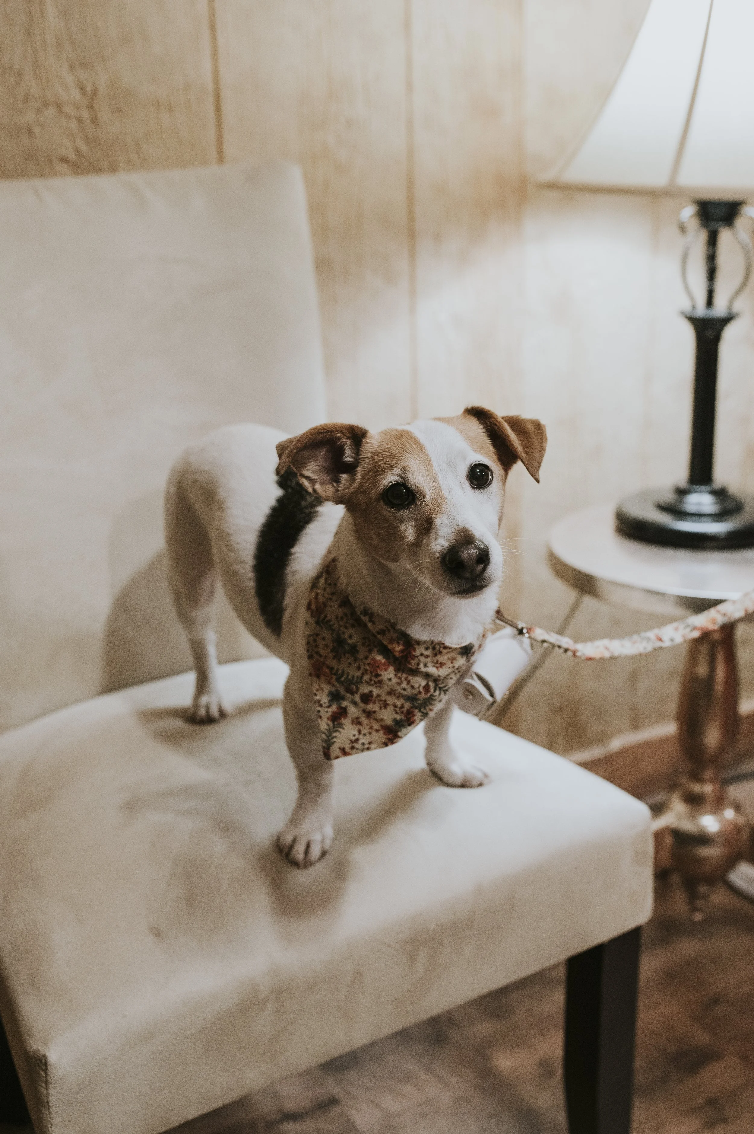 T_L_ Wedding Day-46.jpg