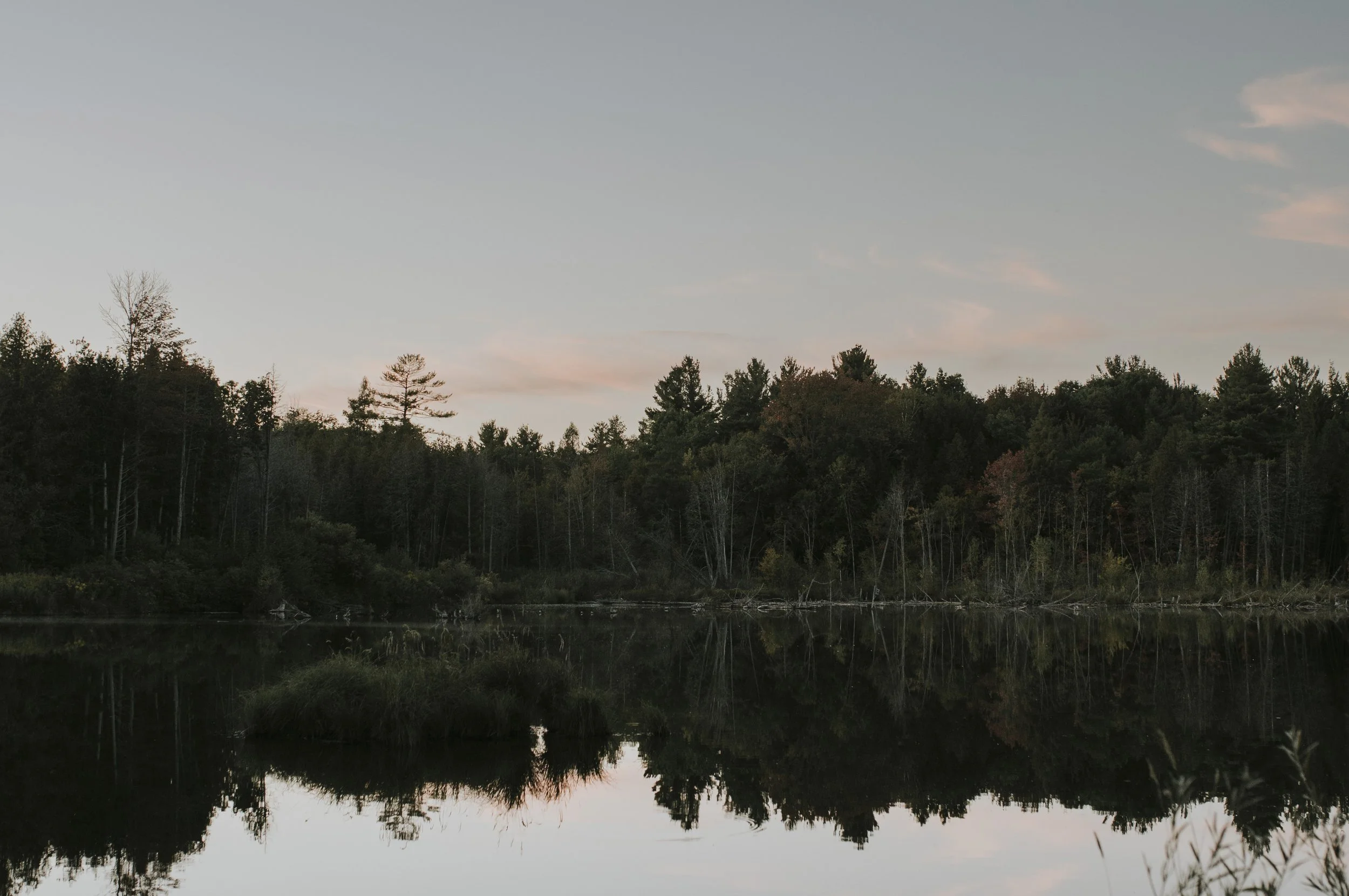 T_L_ Wedding Day-1411.jpg