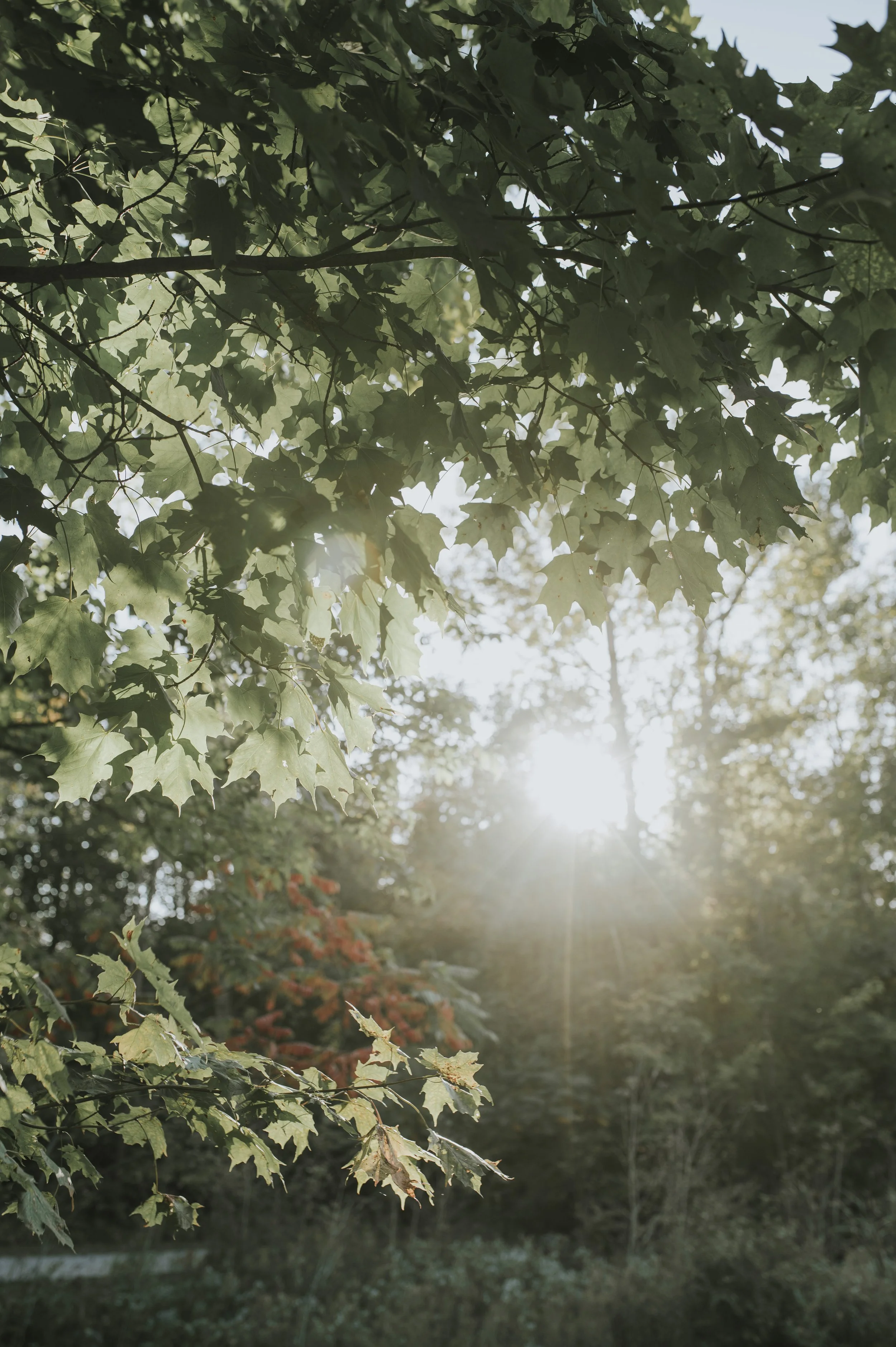 T_L_ Wedding Day-1148.jpg