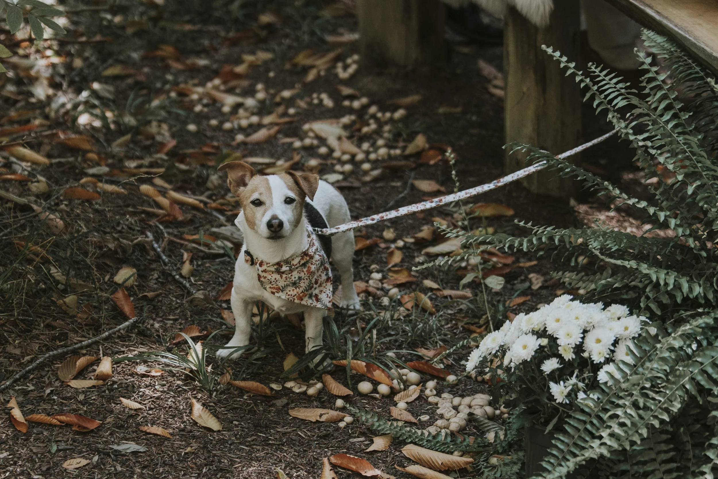 T_L_ Wedding Day-268.jpg