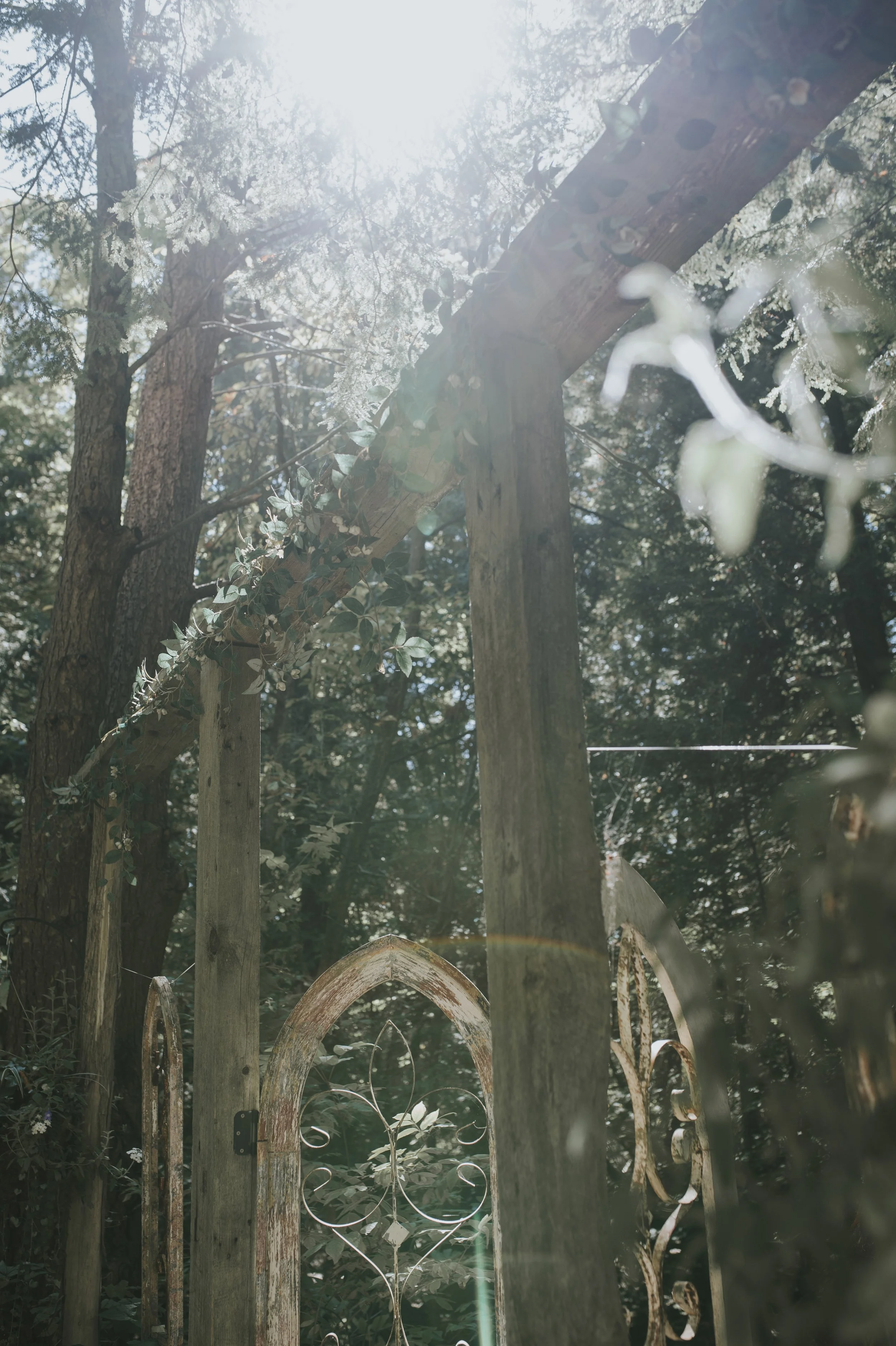 T_L_ Wedding Day-94.jpg