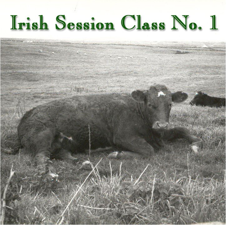 Session Class 1 cover crop.jpg