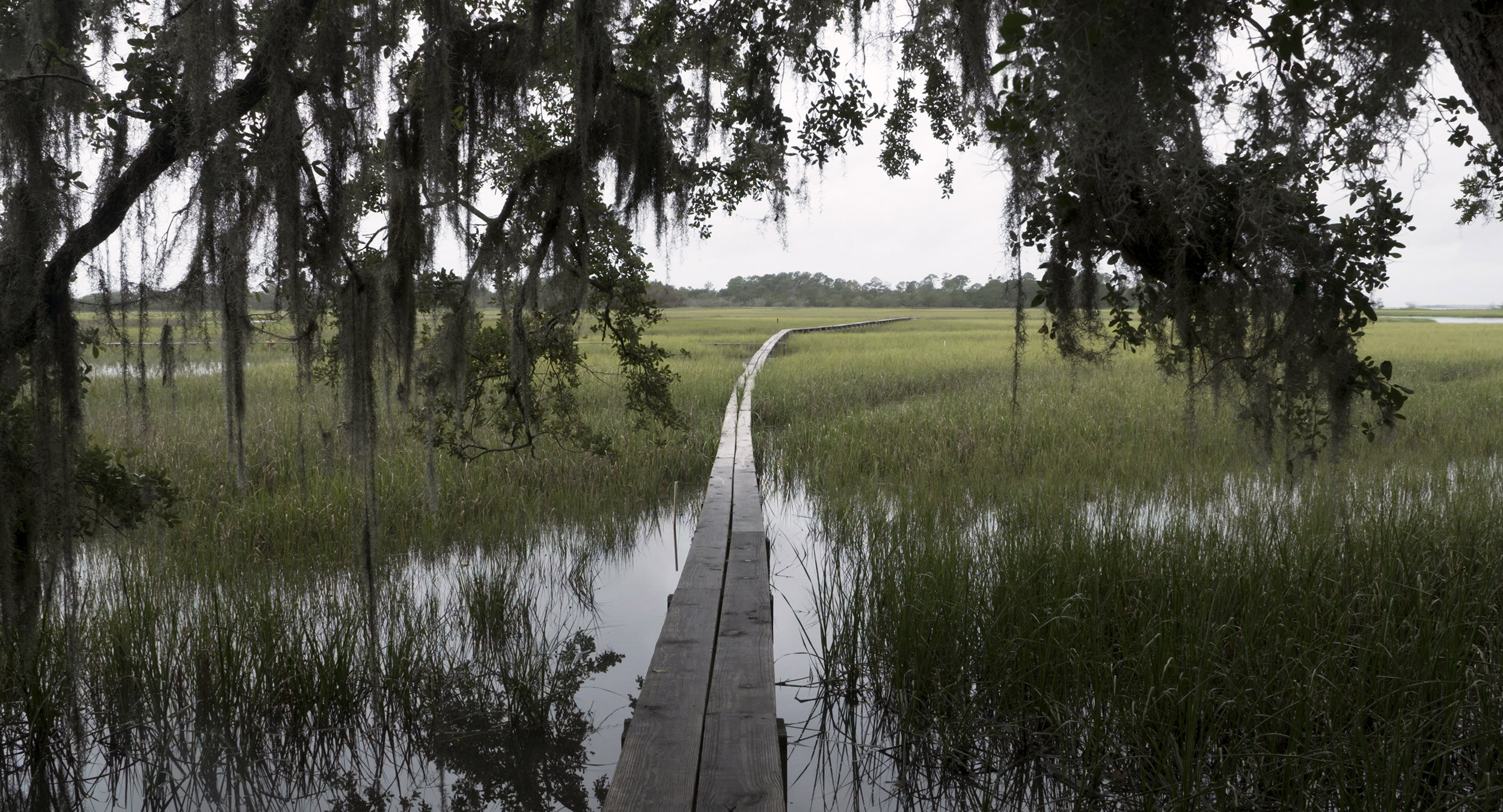 5.-Sapelo_boardwalk.jpg