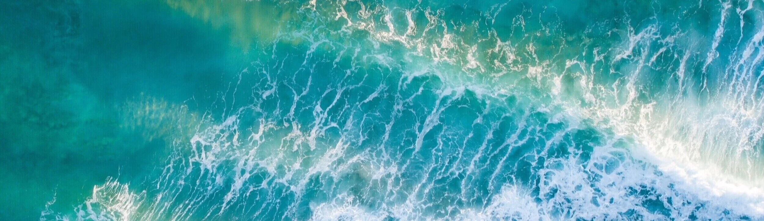 TKEG Consulting Firm