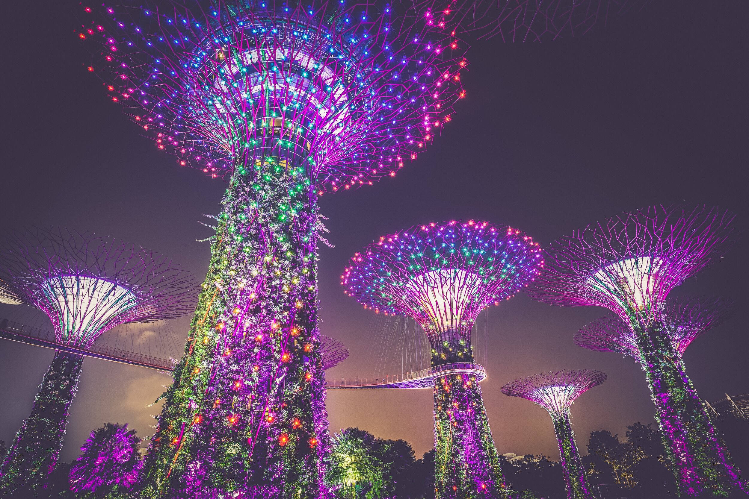 Singapore’s Variable Capital Company(VCC) Information Overview - 新加坡之可變資本公司信息概覽