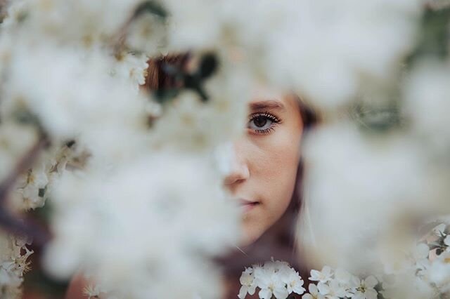 hello spring