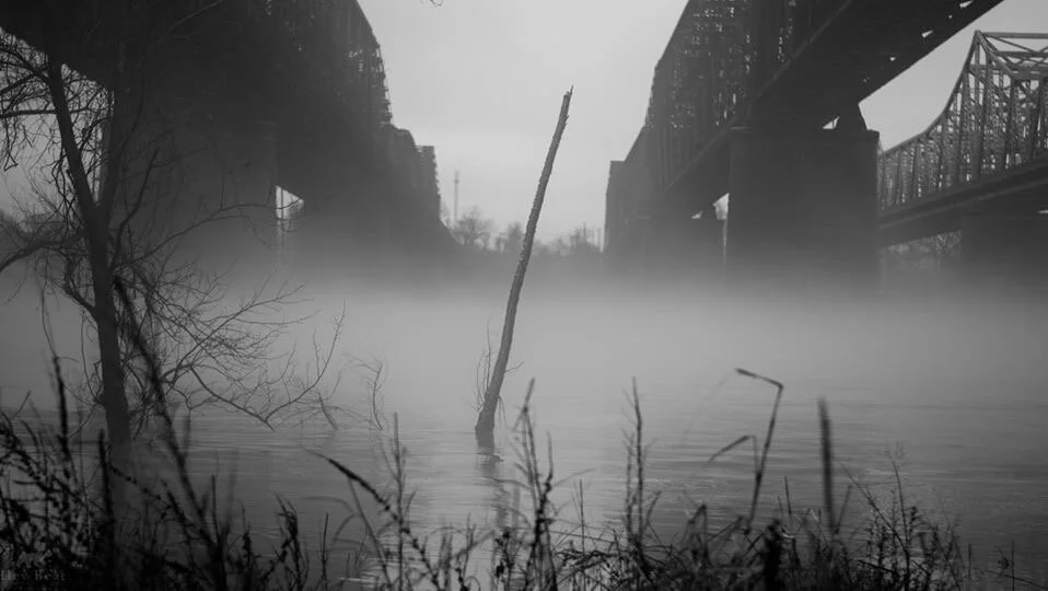 Black and white photo of a river or canal with a foggy atmosphere, with two elevated bridges crossing over it. Bare trees and tall grasses are in the foreground, and a leaning pole sticks out of the water. Memphis architectural photography.