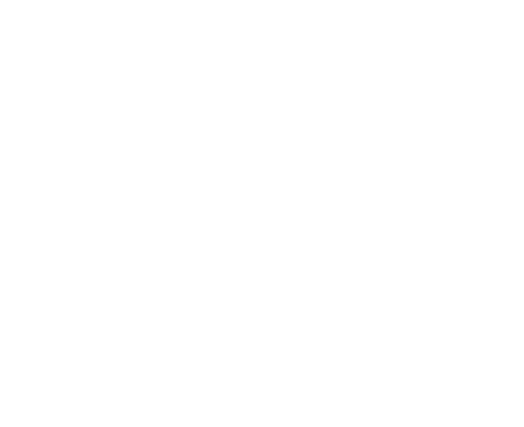 Steed Education