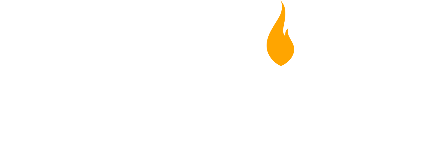 Torchlight Media