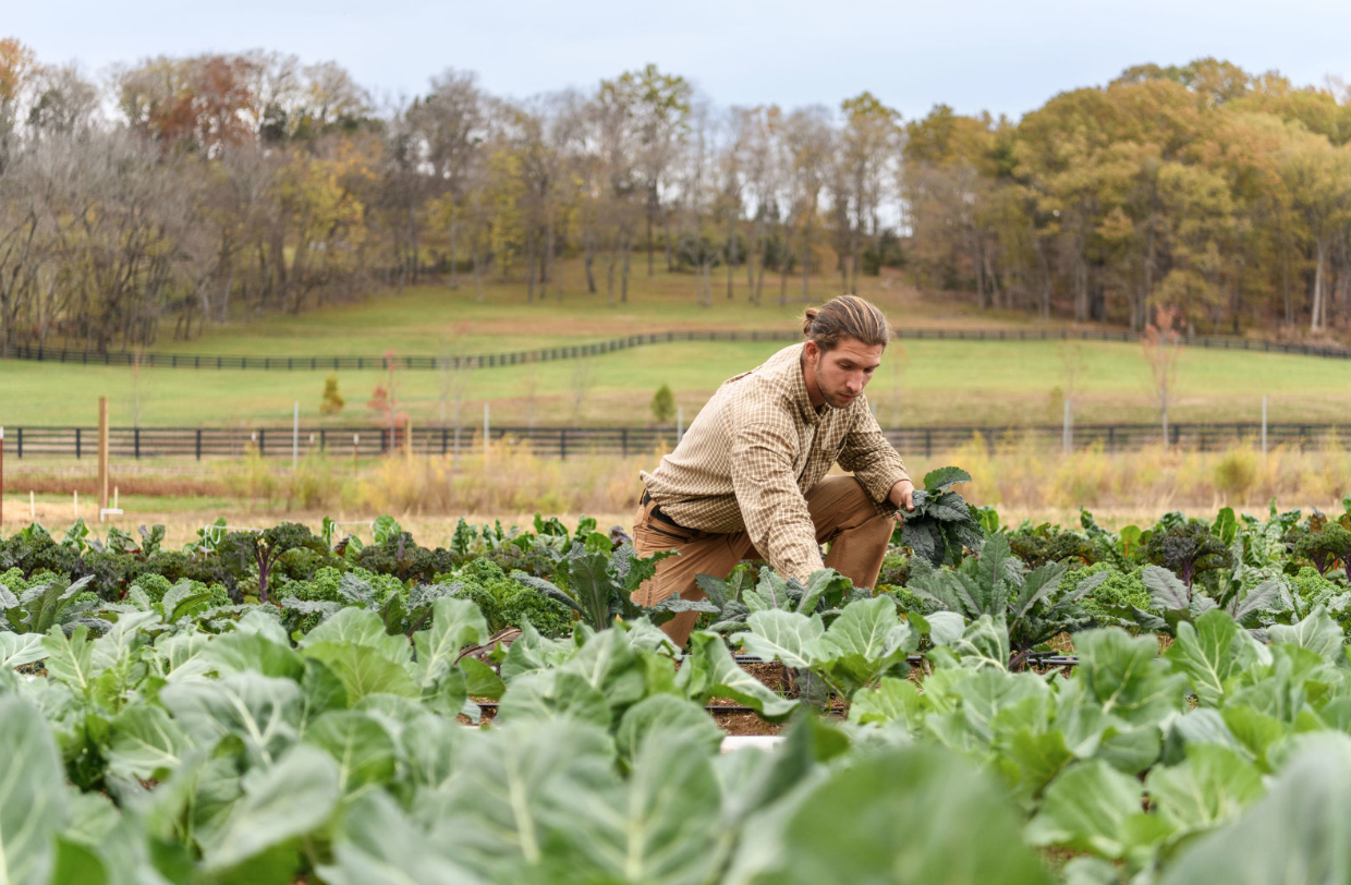 Screen Shot 2023-07-25 at 10.07.44 AM.png