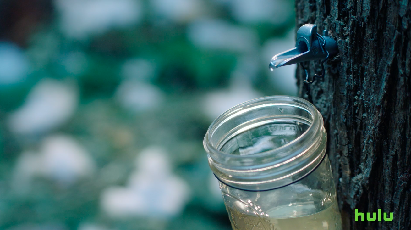 Screen Shot 2023-07-19 at 7.58.32 AM.png