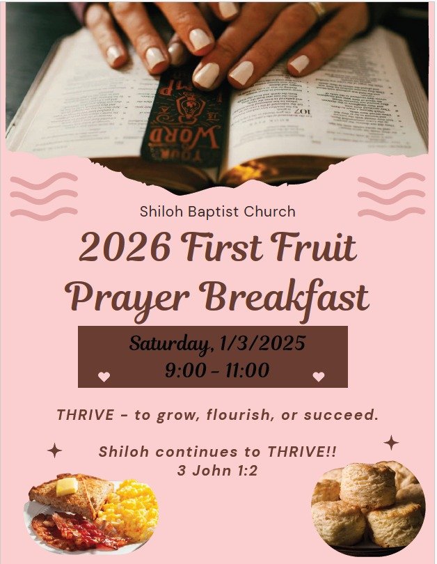 WhatsApp Image 2025-12-15 at 11.34.32 AM.jpeg