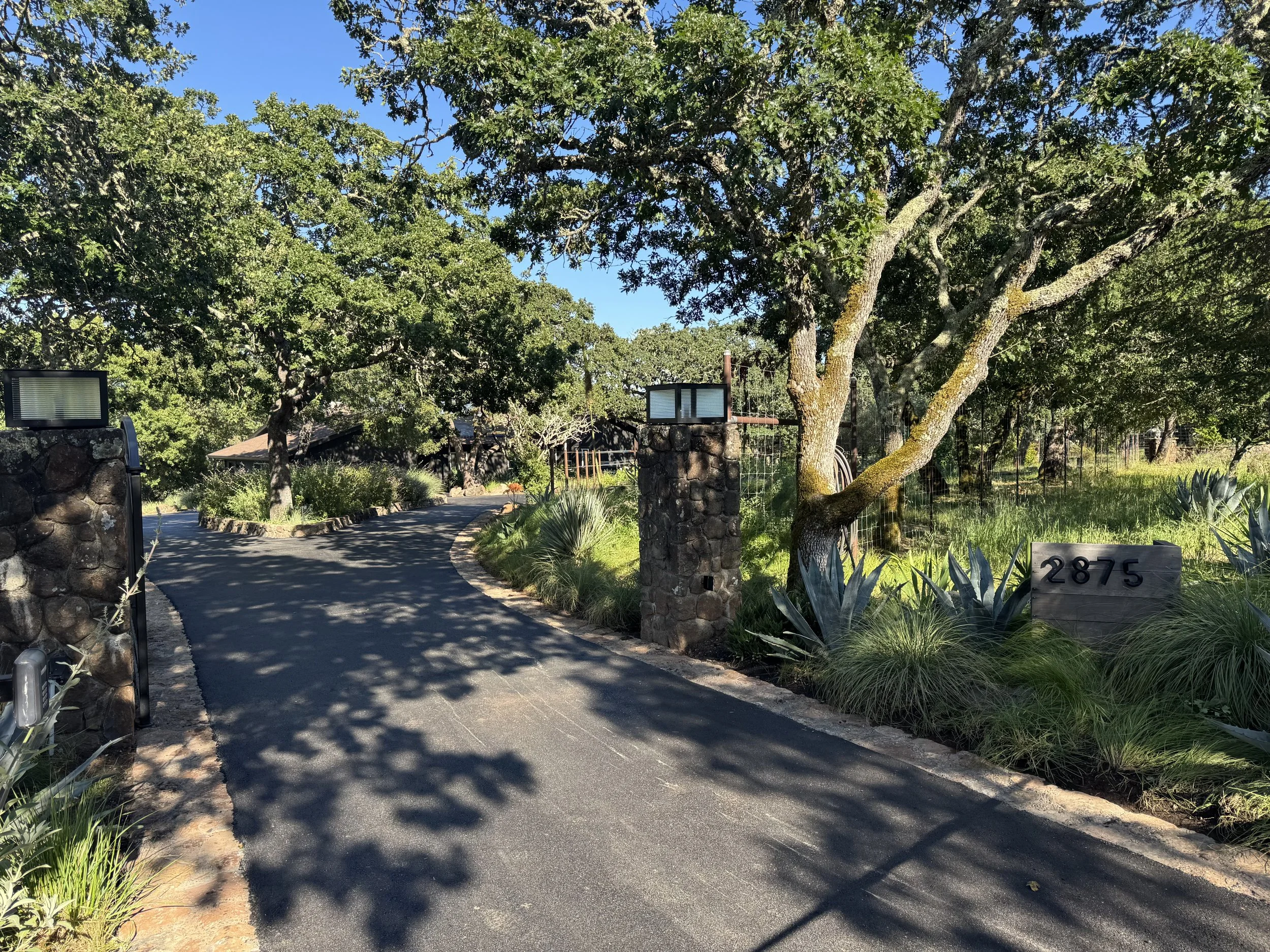 IMG_6891.jpeg