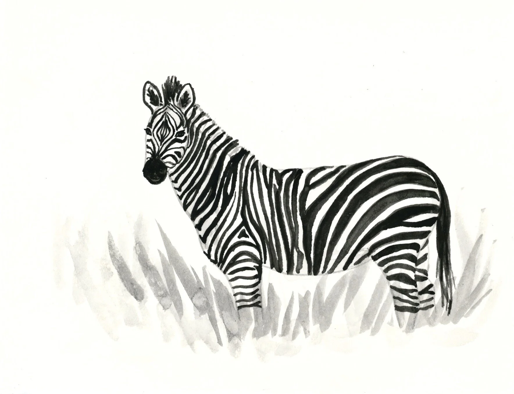 30 Selous Zebra.jpeg