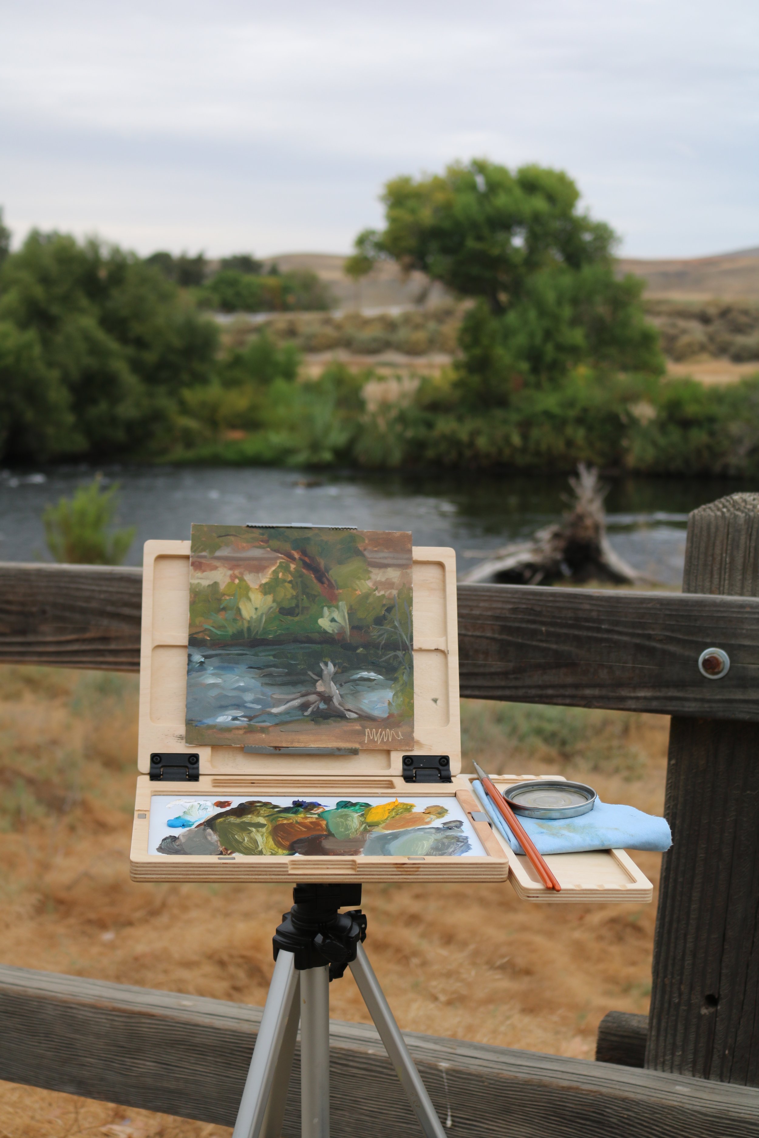 Greetings from the great experiment!