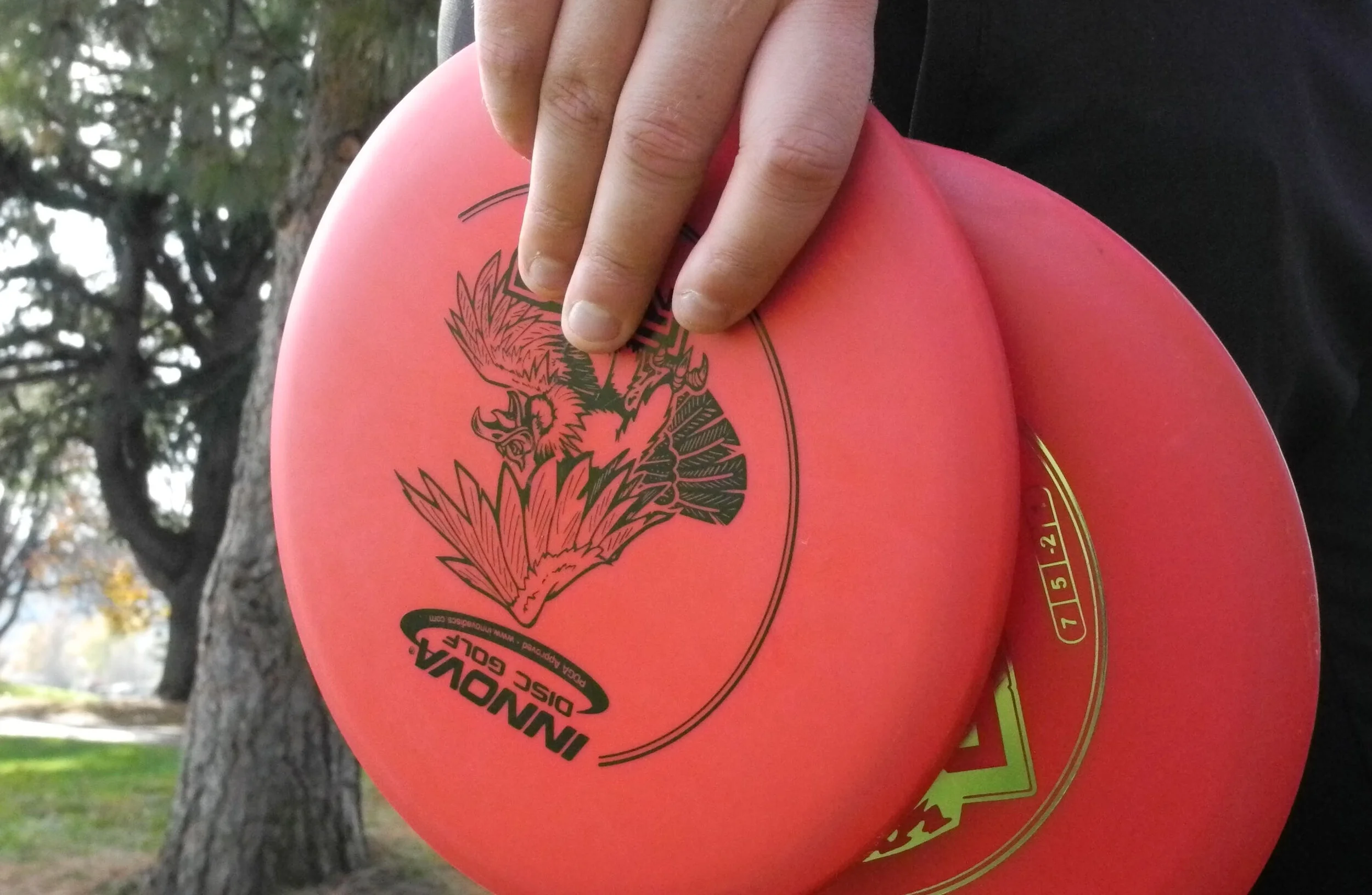 Disc.jpg