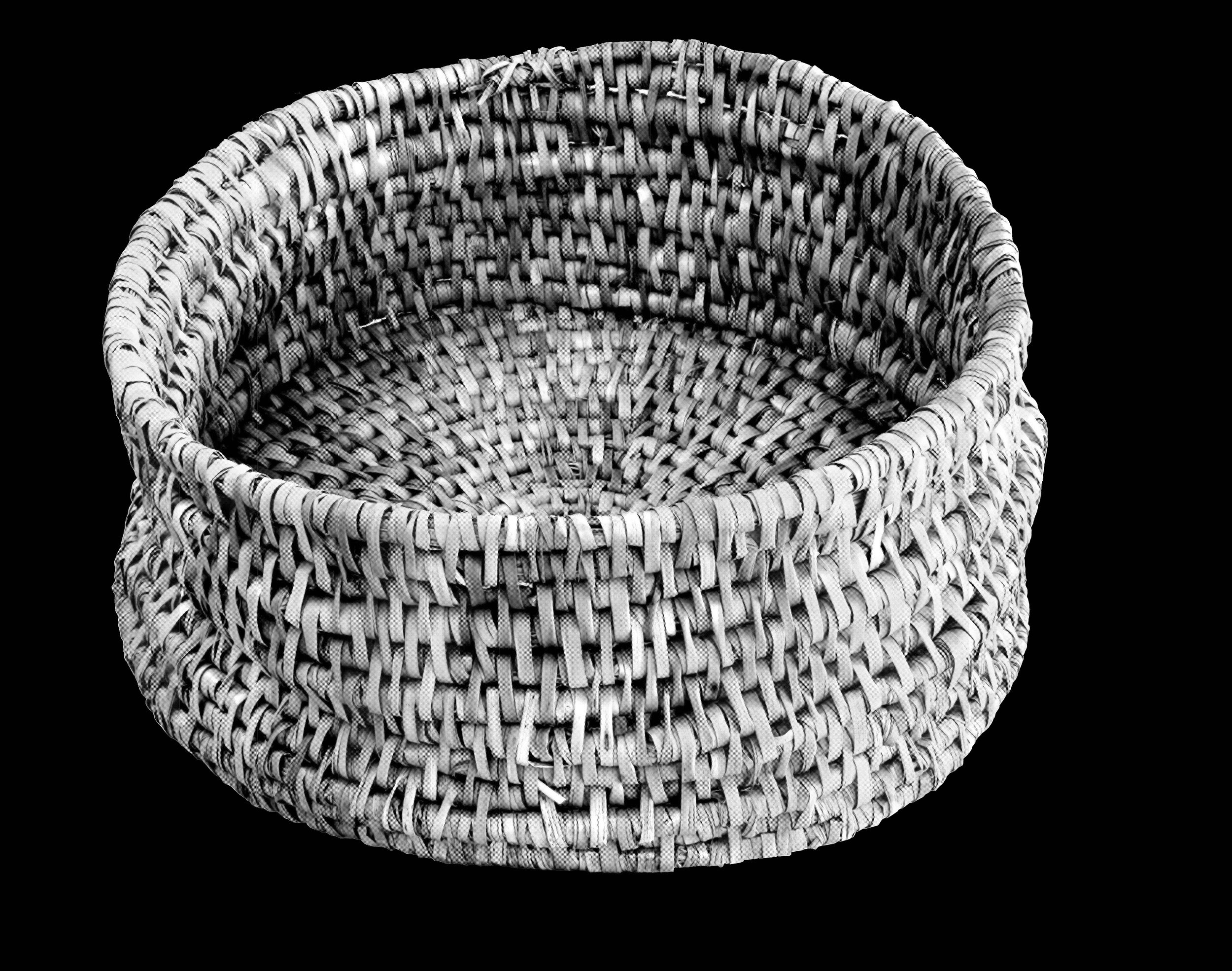 Basket_Graphic.jpg