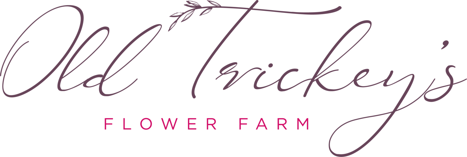 Old Trickey&#39;s Flower Farm