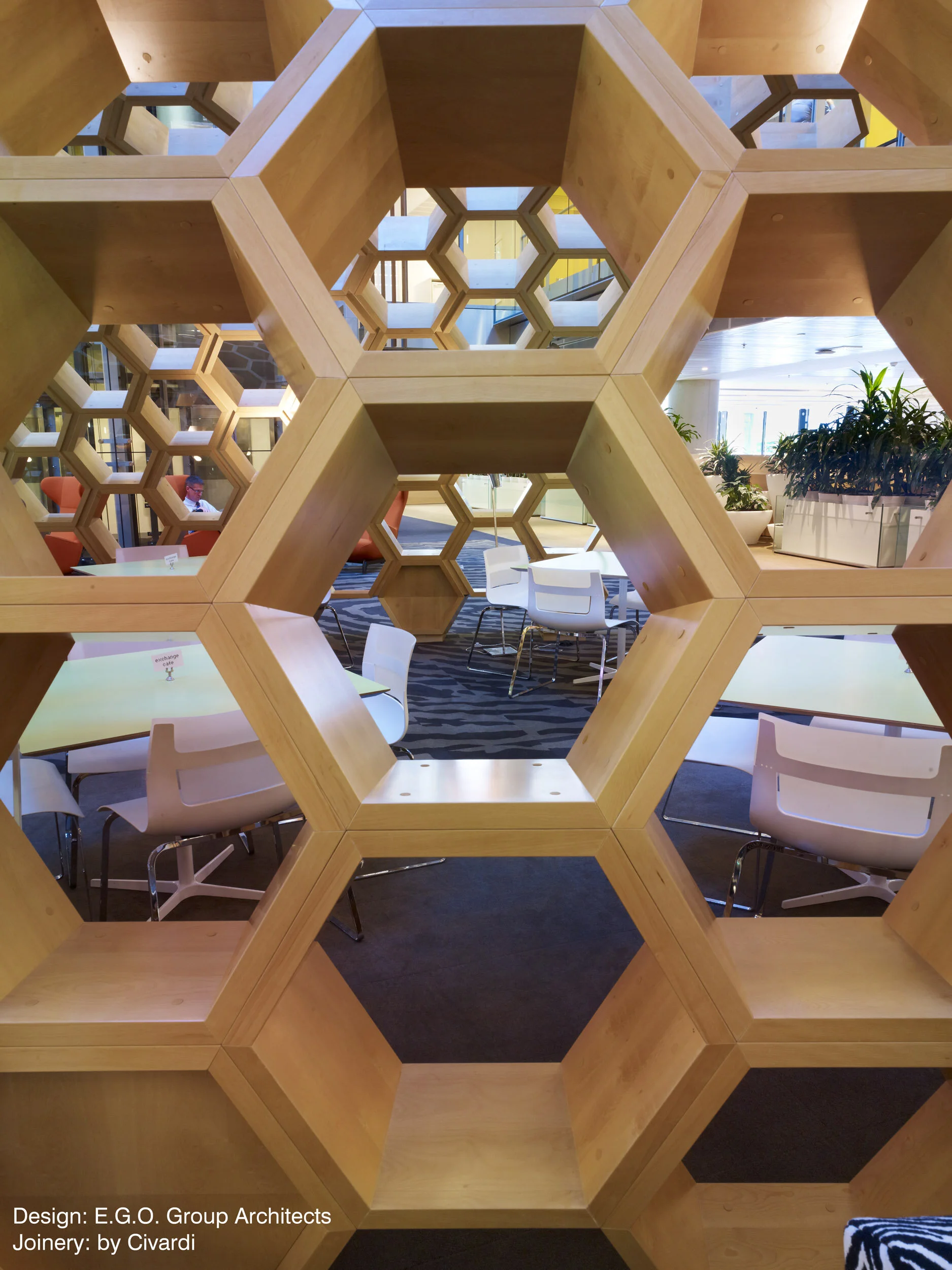 EGO CBA Honeycomb 031_Web.jpg