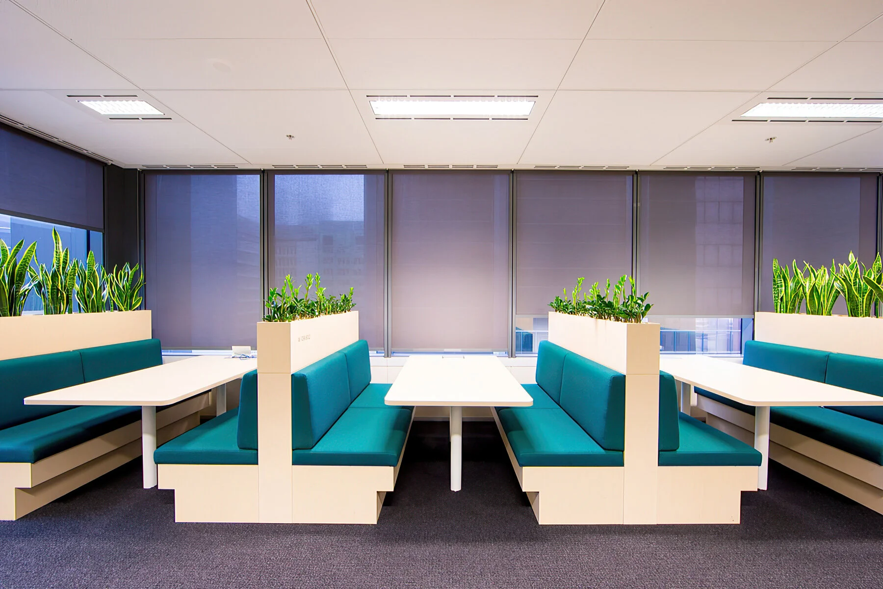 Westpac (7 of 44)-gigapixel-scale-2_00x Web.jpg