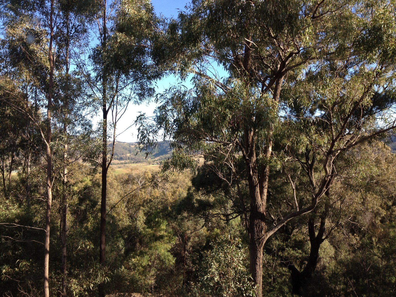 Civardi receives PEFC Chain of Custody certification