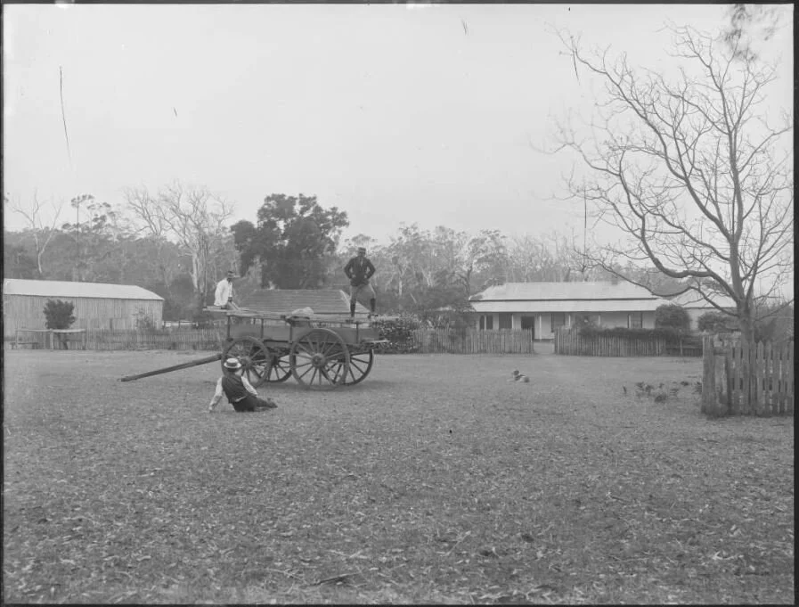 possibly eelup farm.JPG