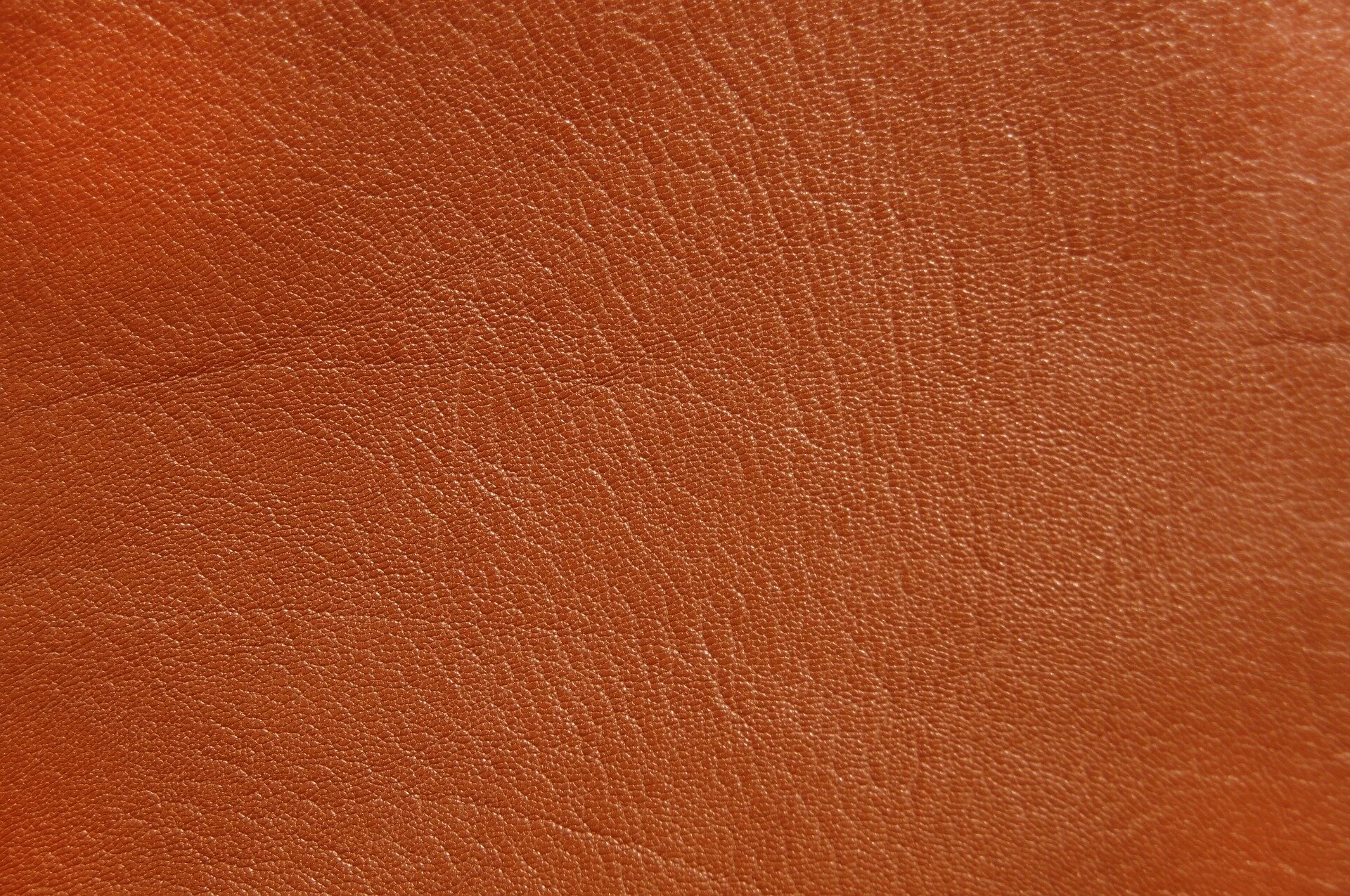 leather-2719497_1920.jpg