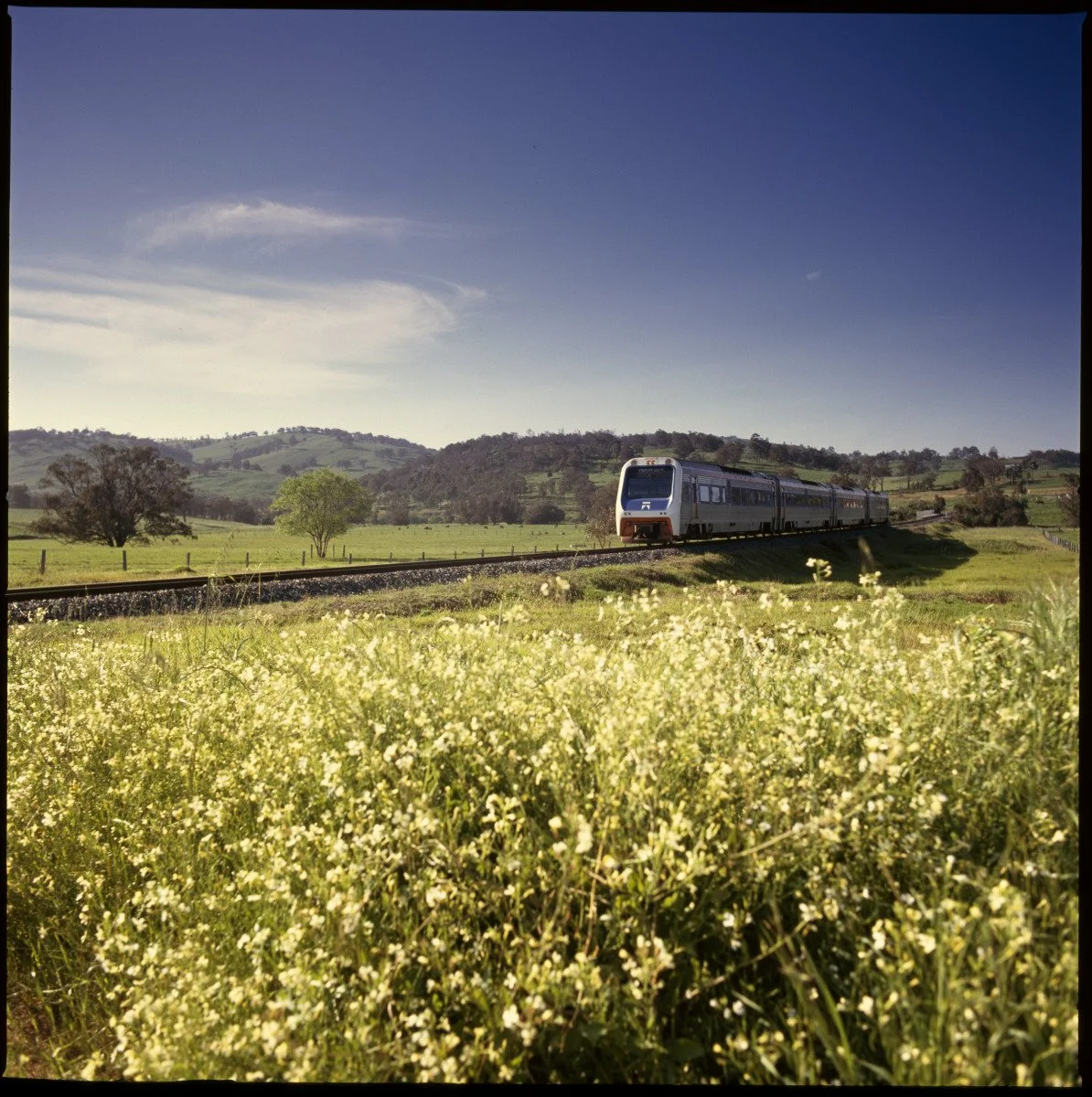 slwa_b6436686_1.jpg